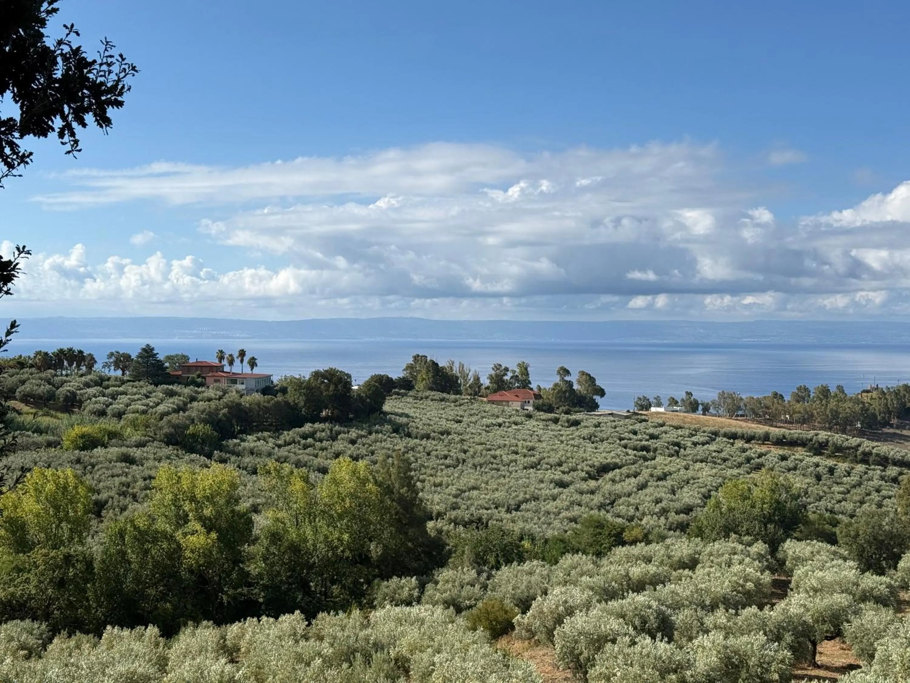 Natural landscape in Casale Calabria