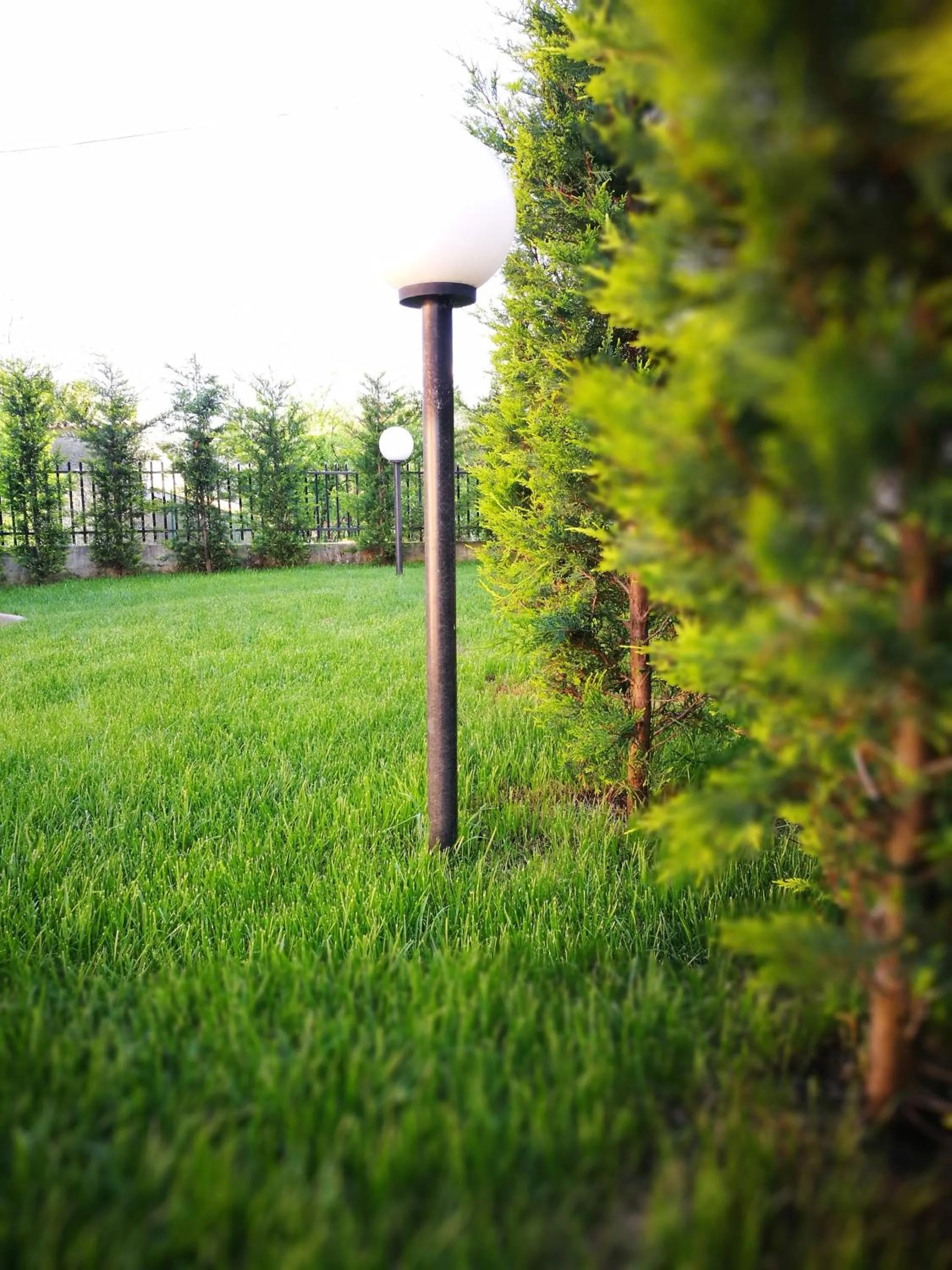 Garden in La Residenza del Marchesato
