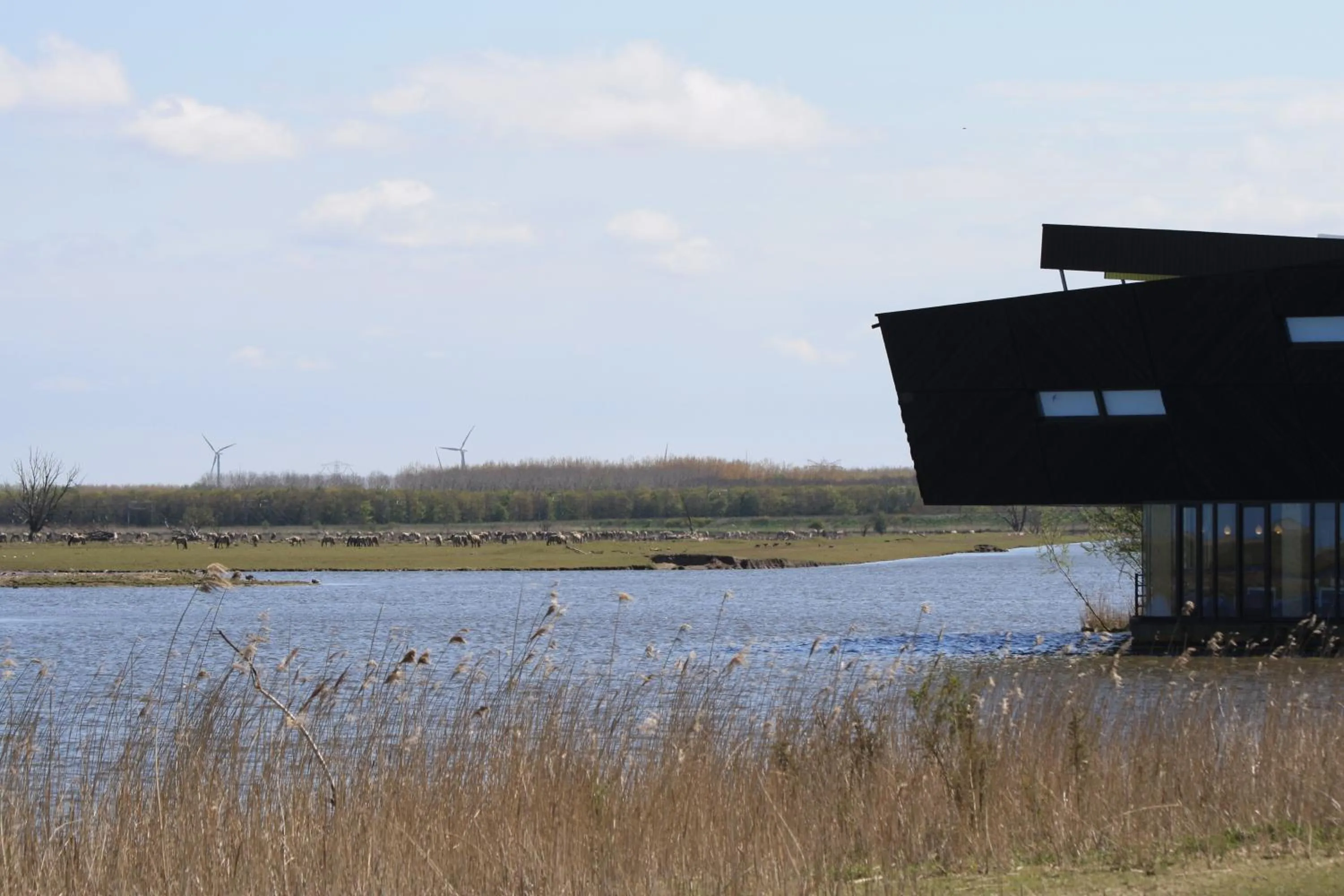 Nearby landmark in Casa Mirador Sleep Inn