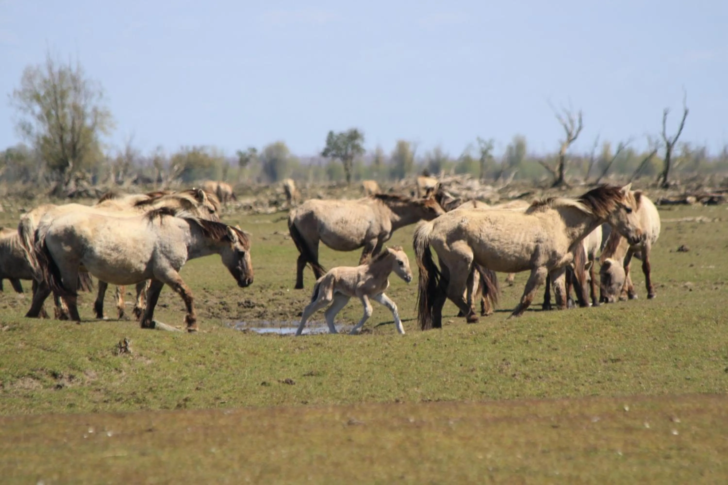 Natural landscape in Casa Mirador Sleep Inn