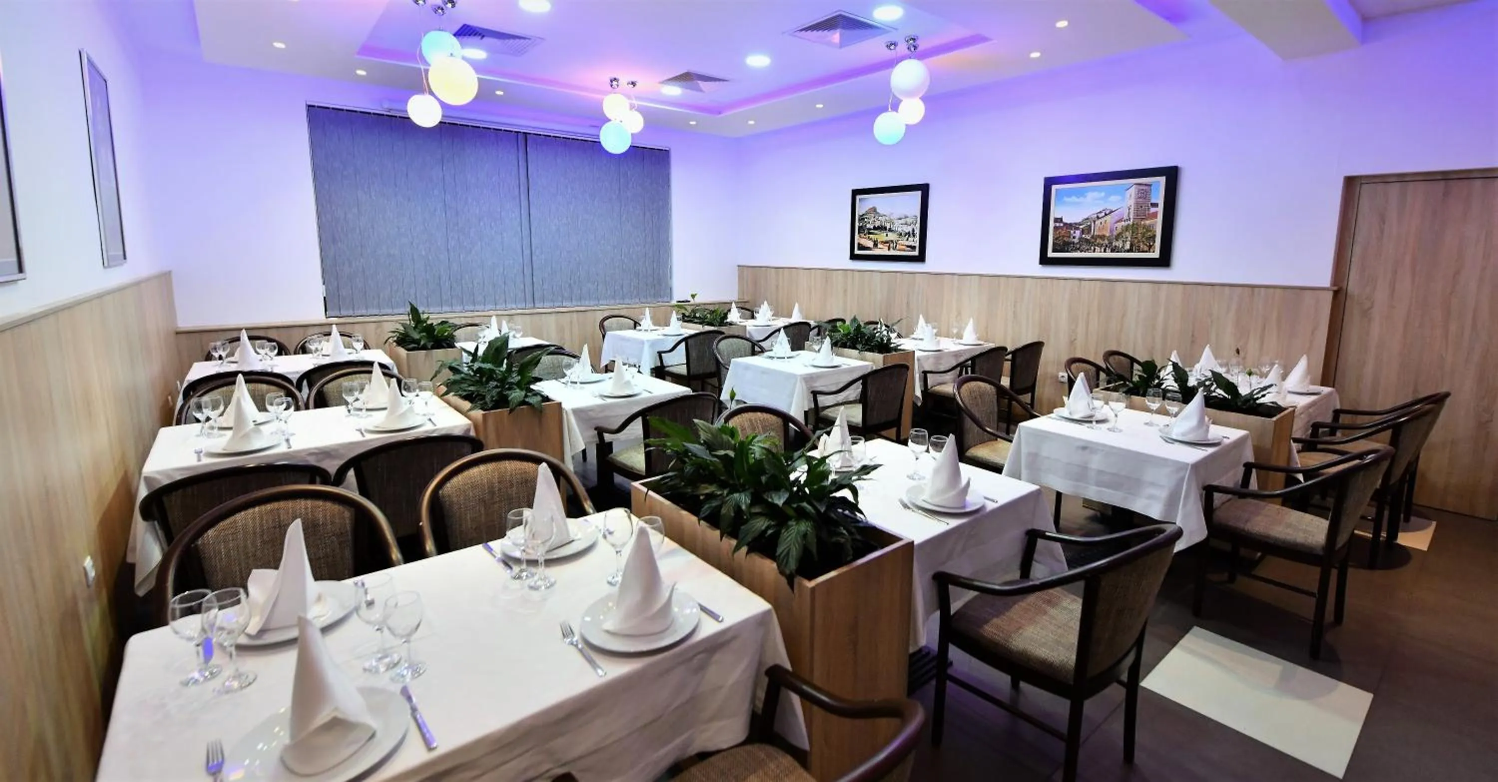 Banquet/Function facilities in Hotel Alkar