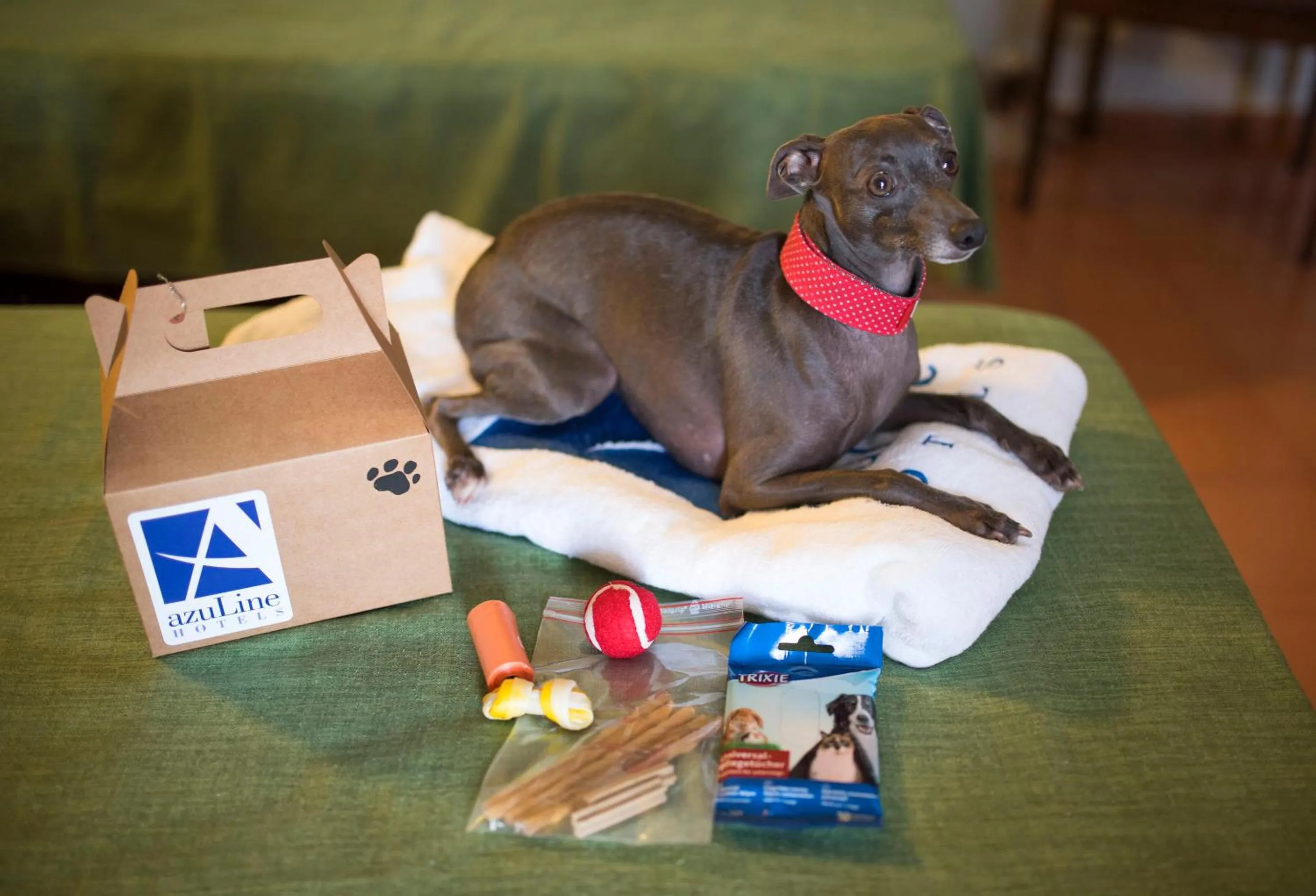Decorative detail in azuLine Hotel Mediterráneo