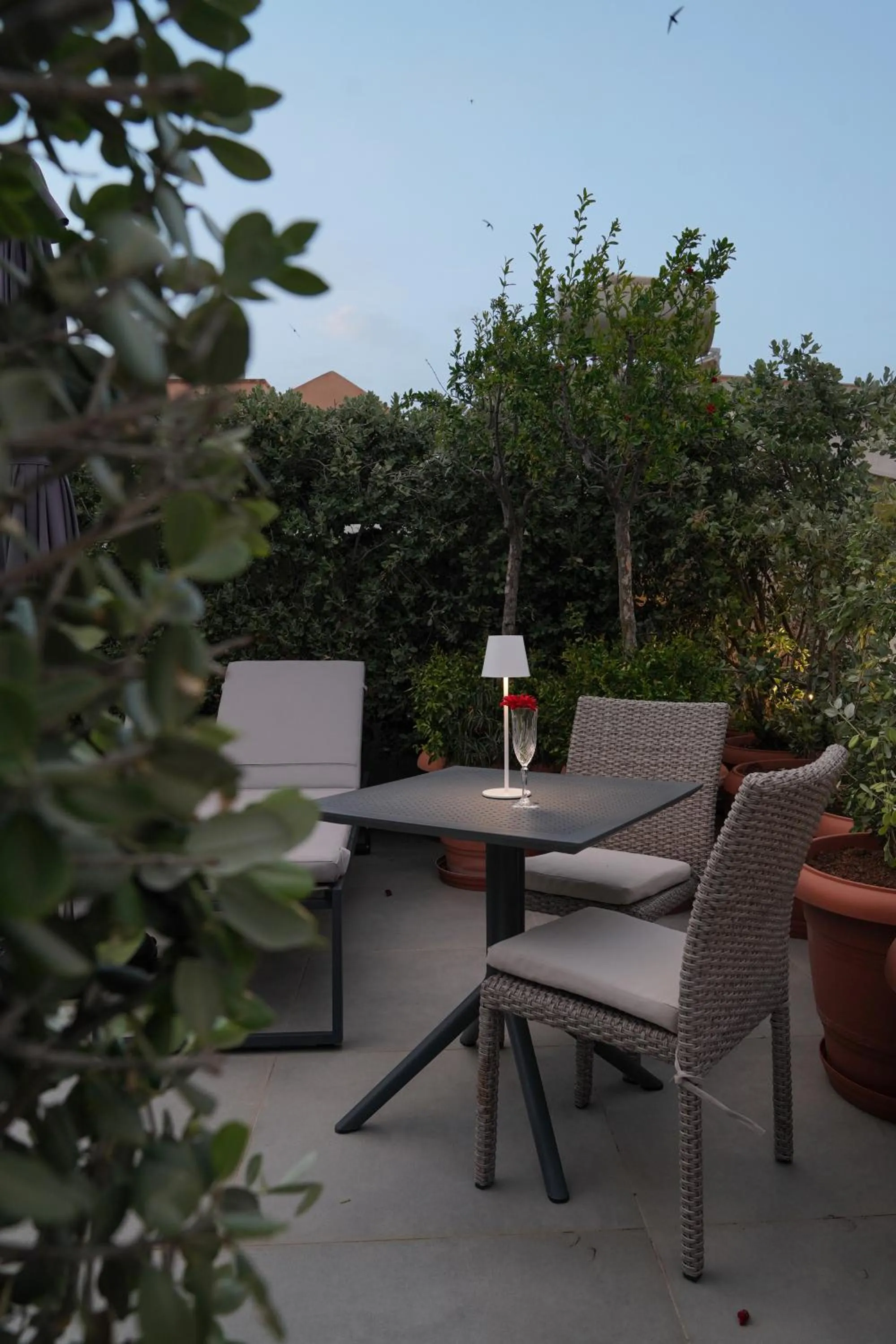 Garden in Venetian Palace Chania