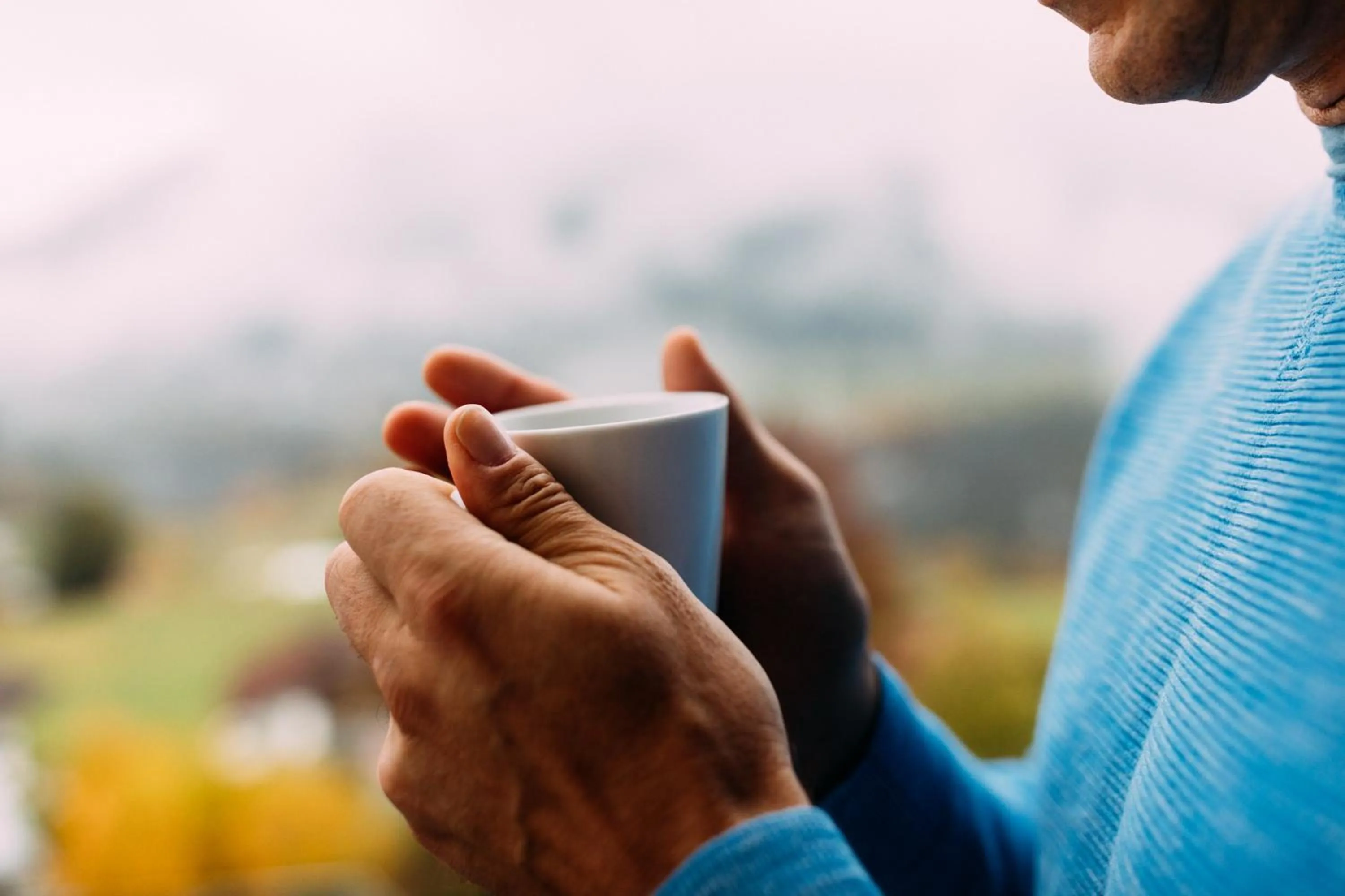 Mountain view in Pitzis Kinderhotel - Family Only