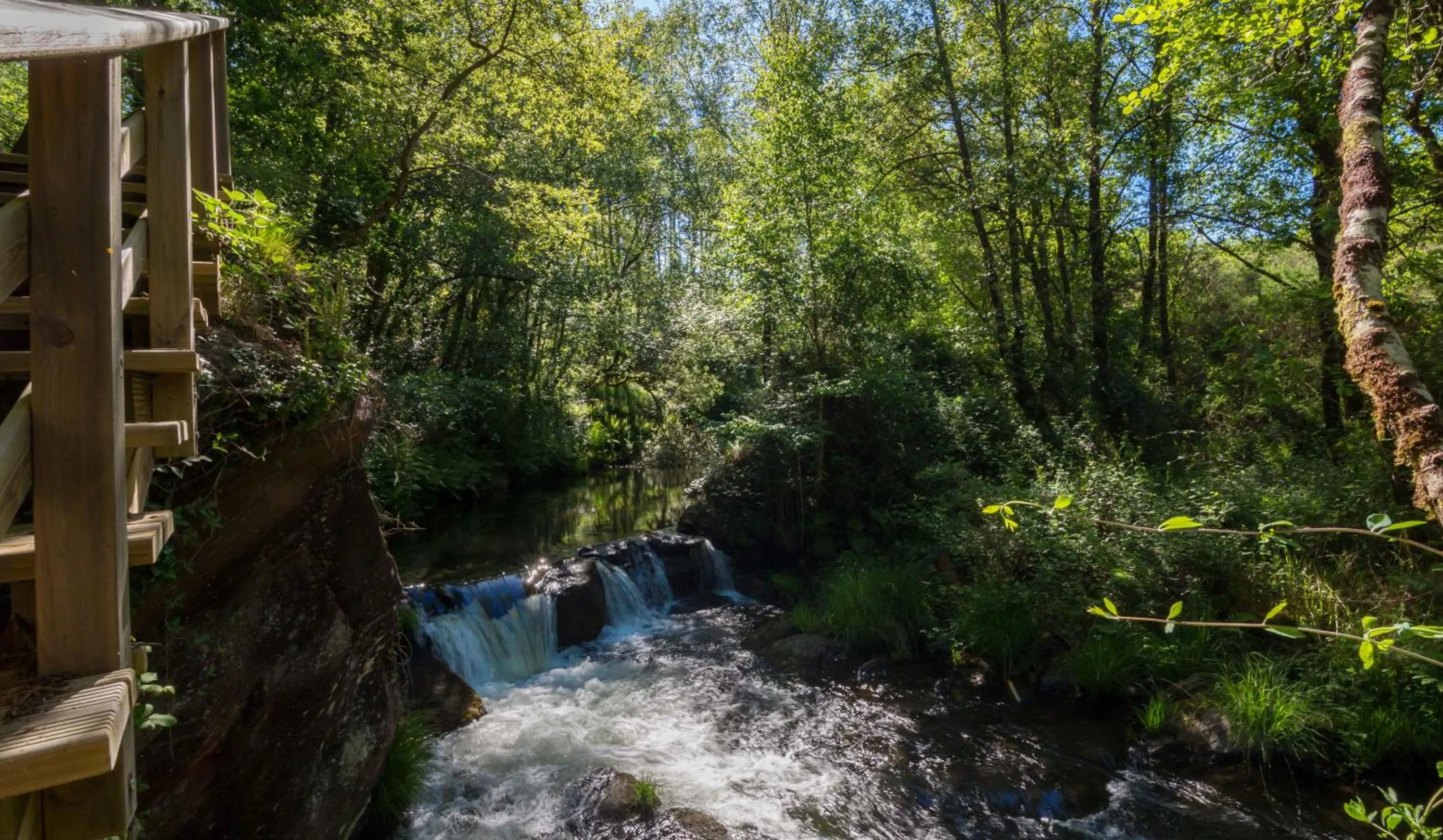 Activities in O Muiño de Pena