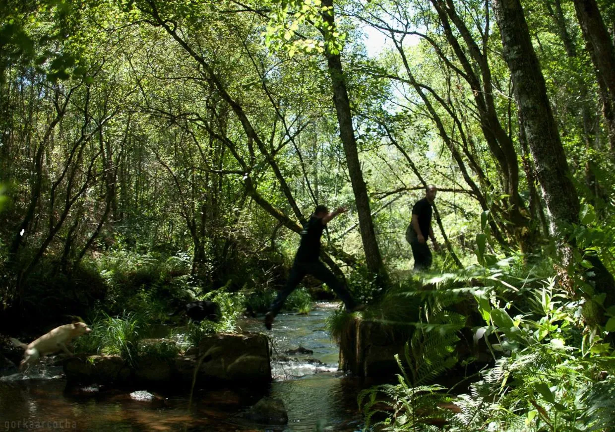 Area and facilities in O Muiño de Pena