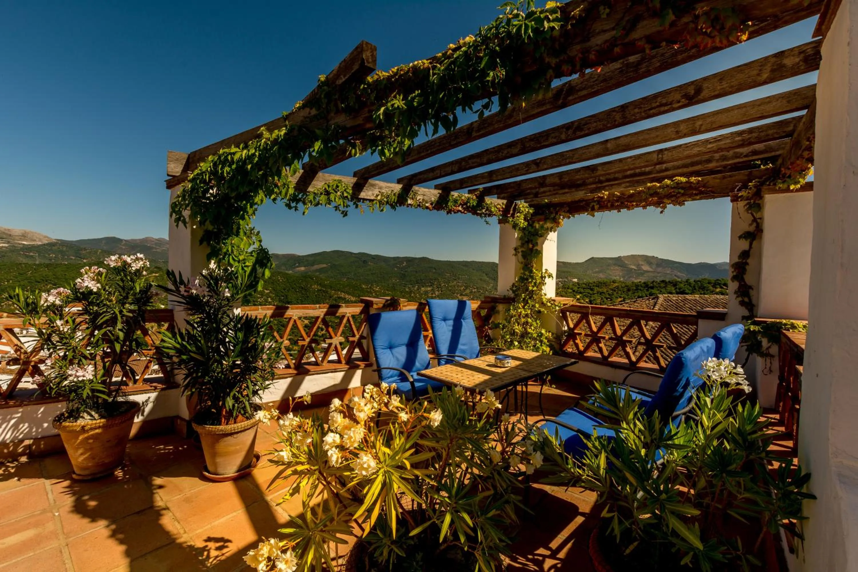 Balcony/Terrace in Hotel Los Castaños
