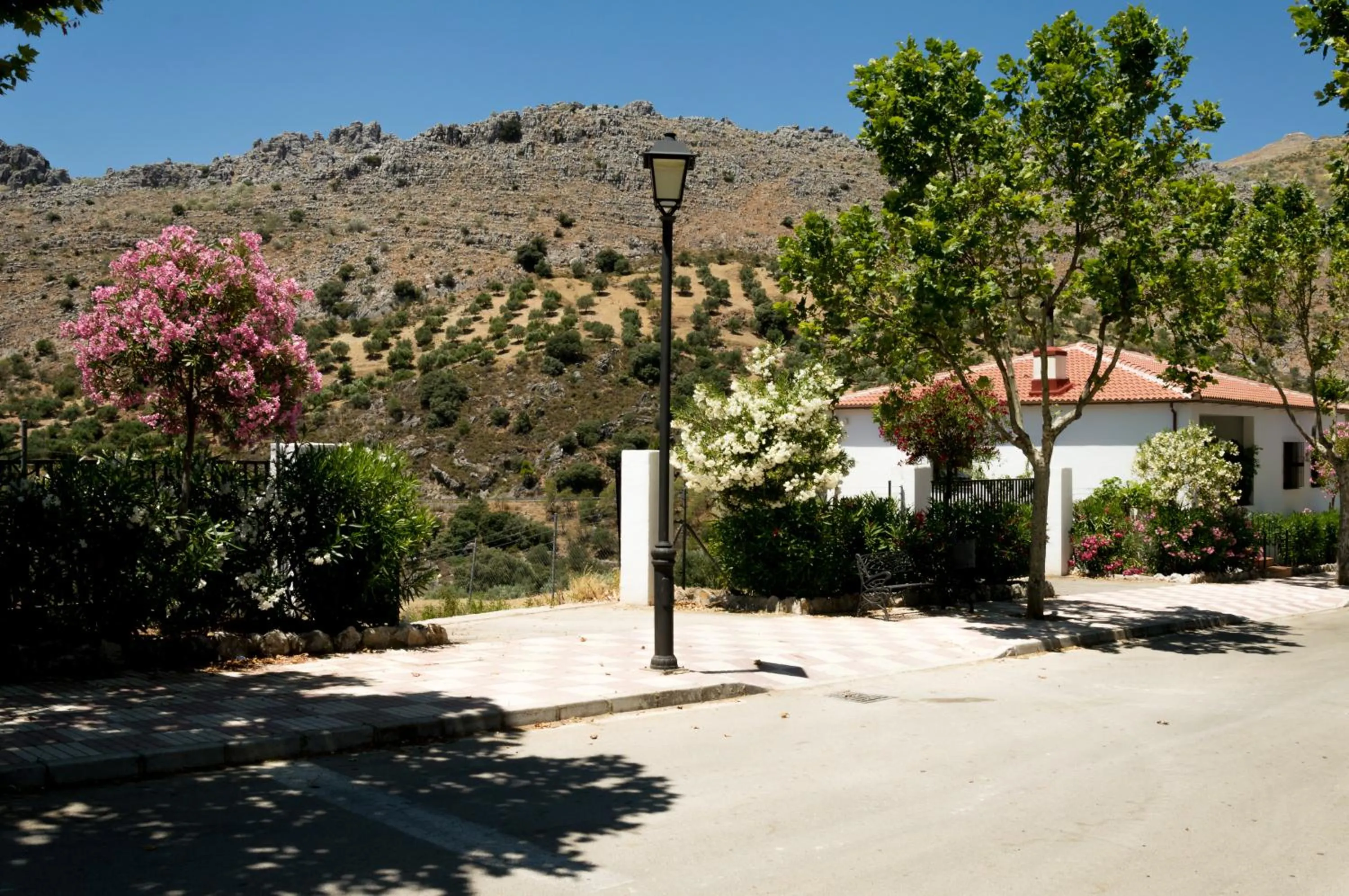 Neighbourhood in Hotel Los Castaños
