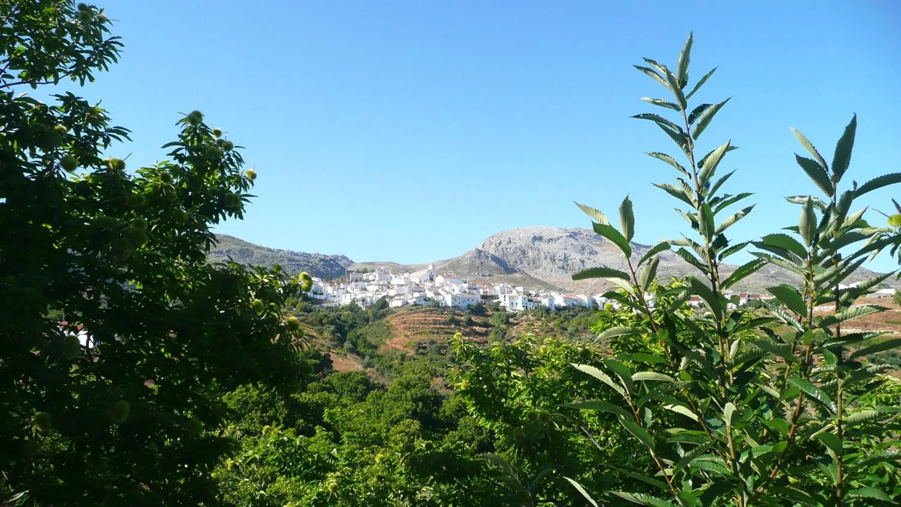 View (from property/room) in Hotel Los Castaños View (from property/room) in Hotel Los Castaños
