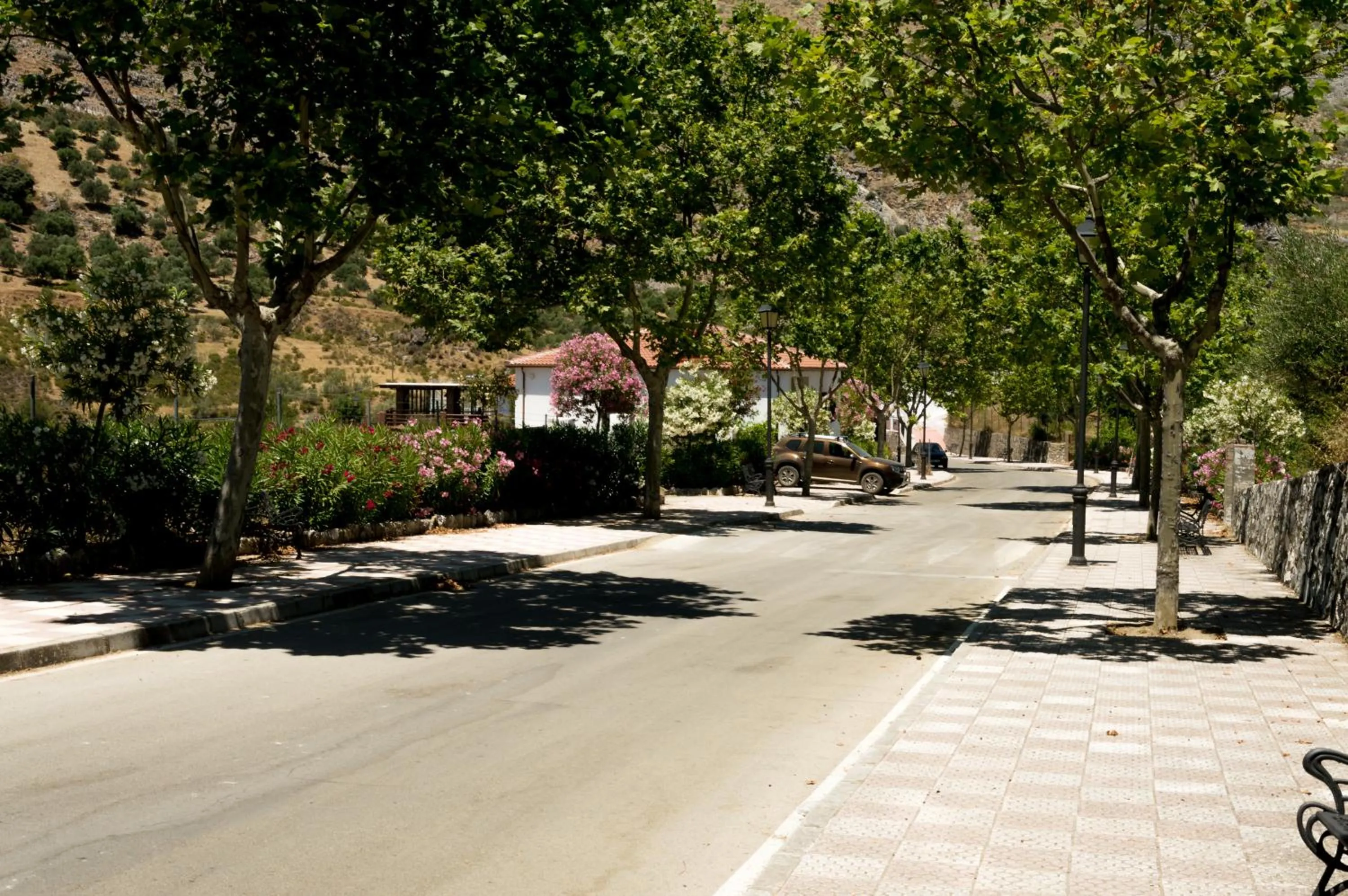 Neighbourhood in Hotel Los Castaños