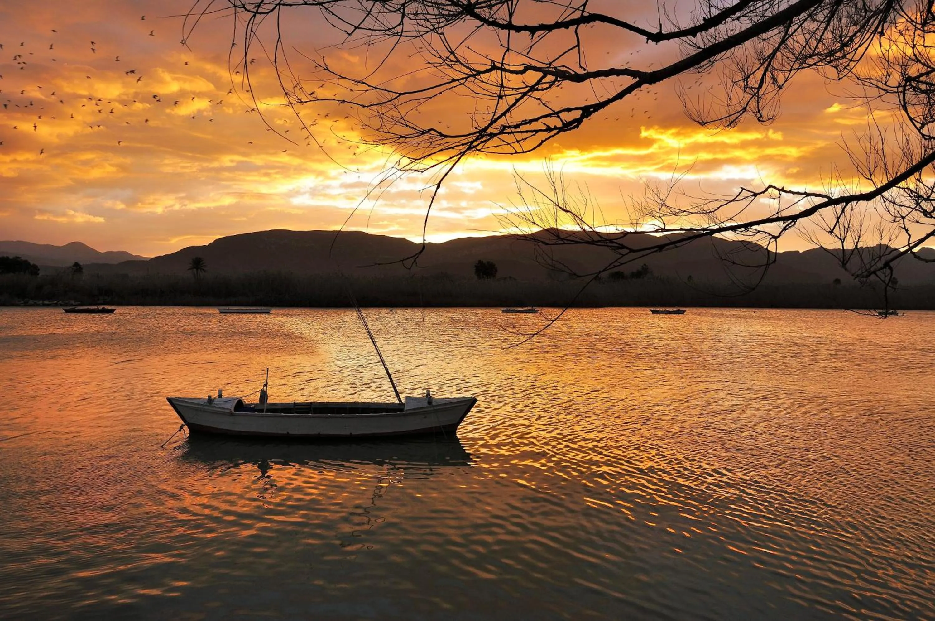 Natural landscape in Hotel L'Escala
