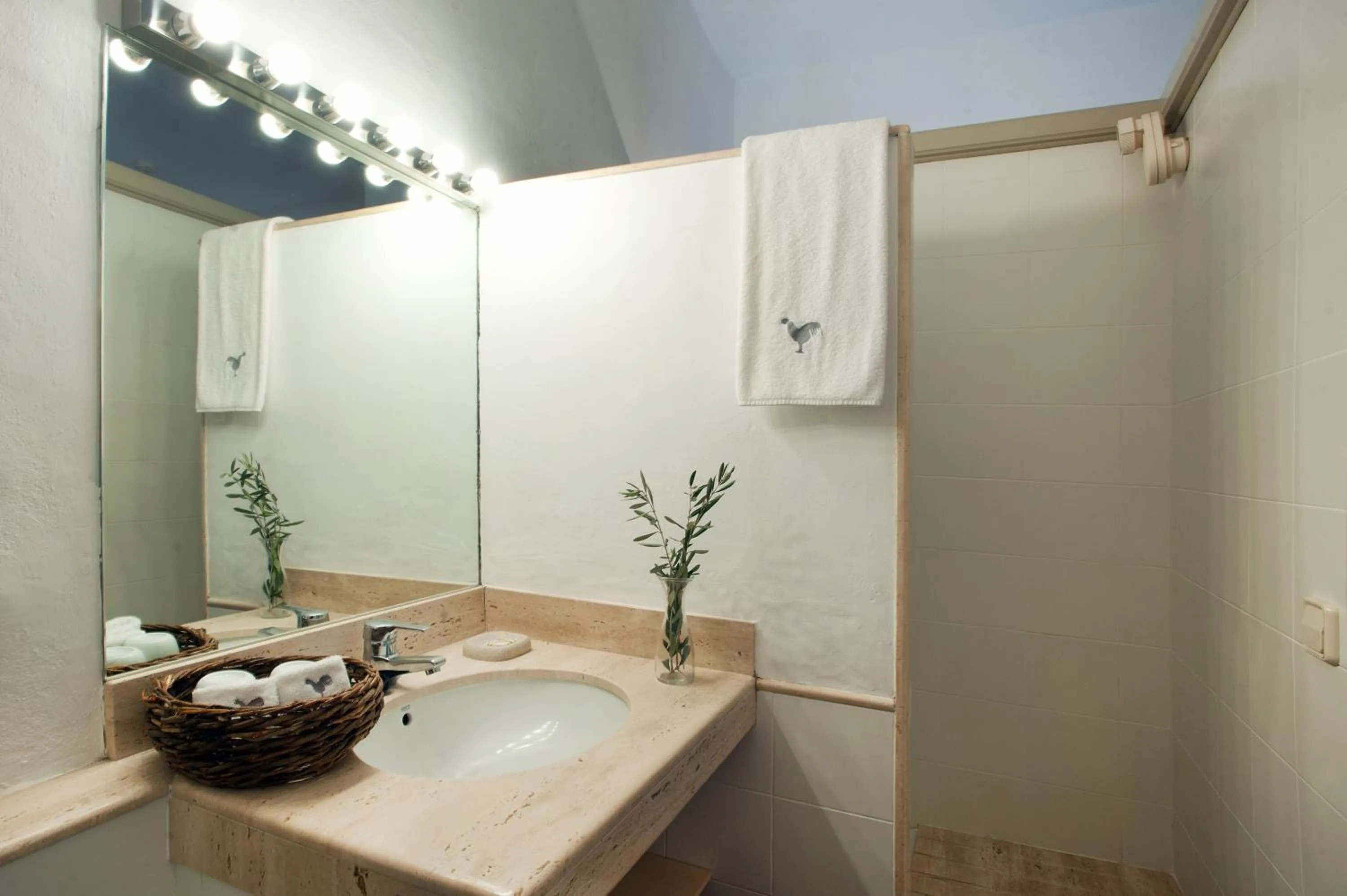 Bathroom in Mas Falgarona Hotel Boutique & SPA