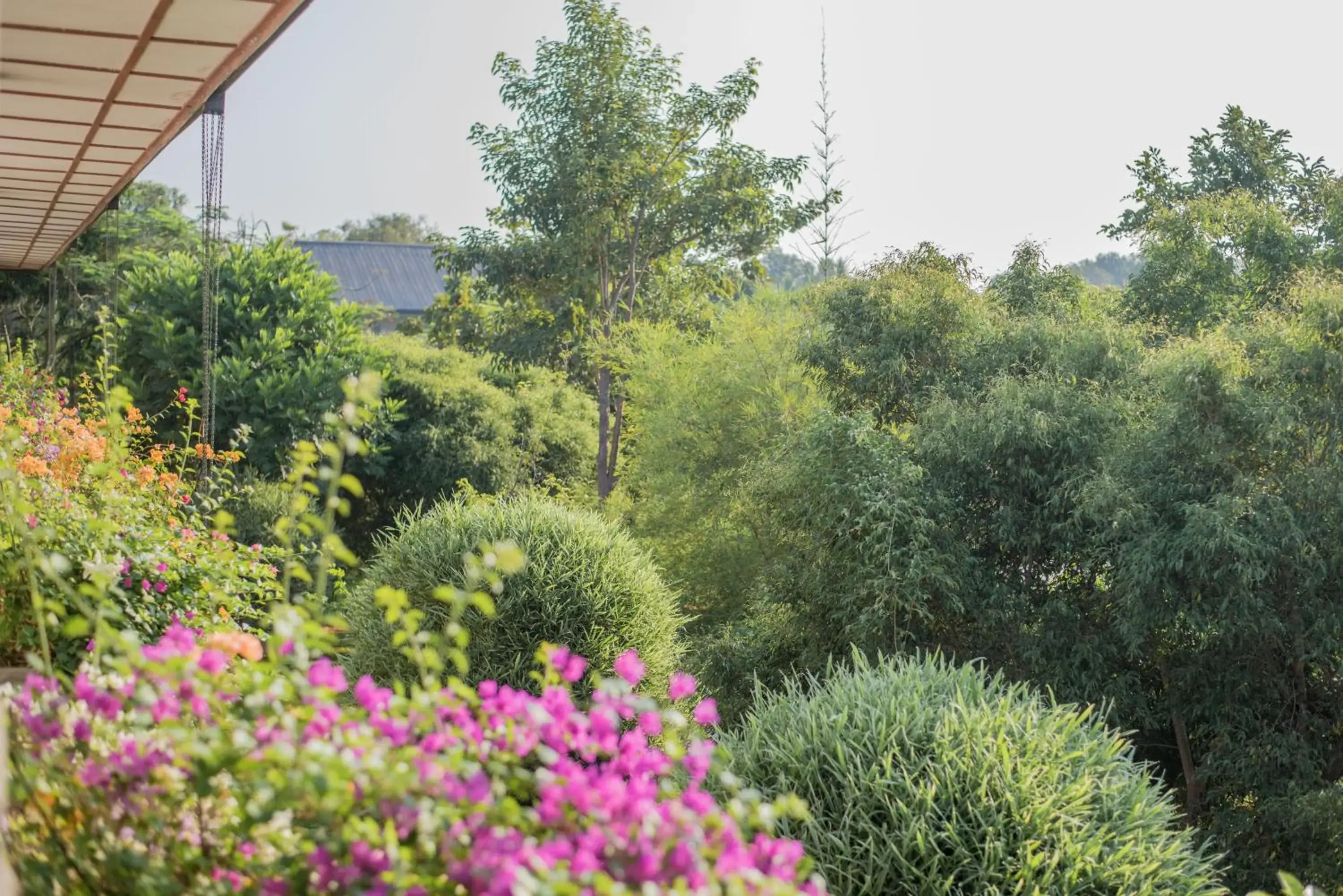 Garden view in Sungreen Resort Habarana Garden view in Sungreen Resort Habarana