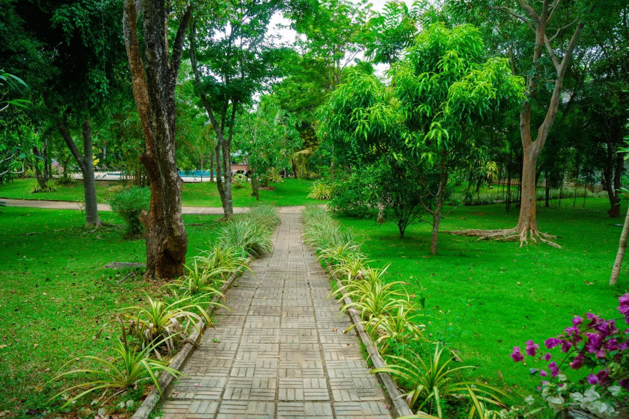 Natural landscape in Sungreen Resort Habarana