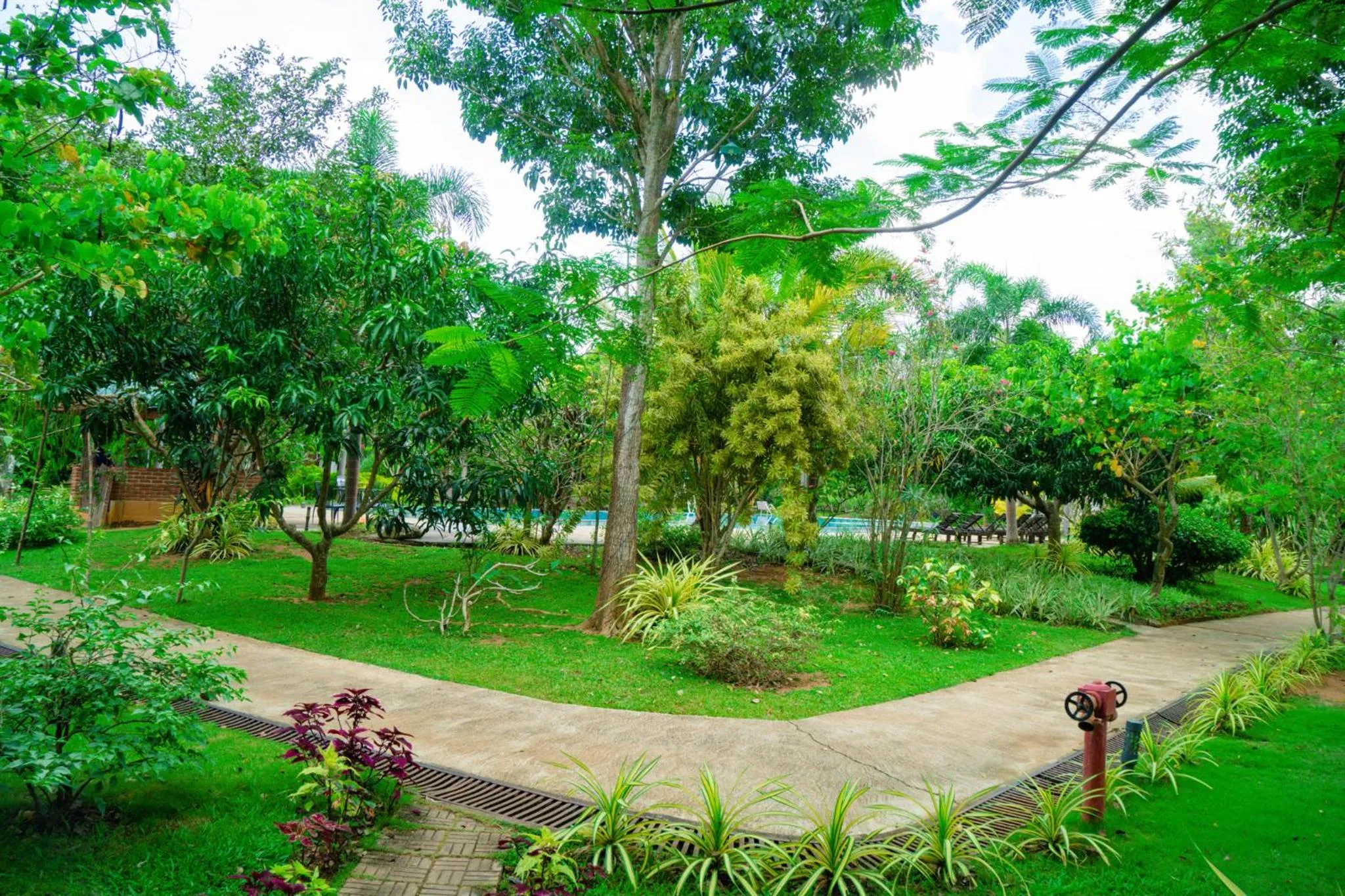 Garden in Sungreen Resort Habarana