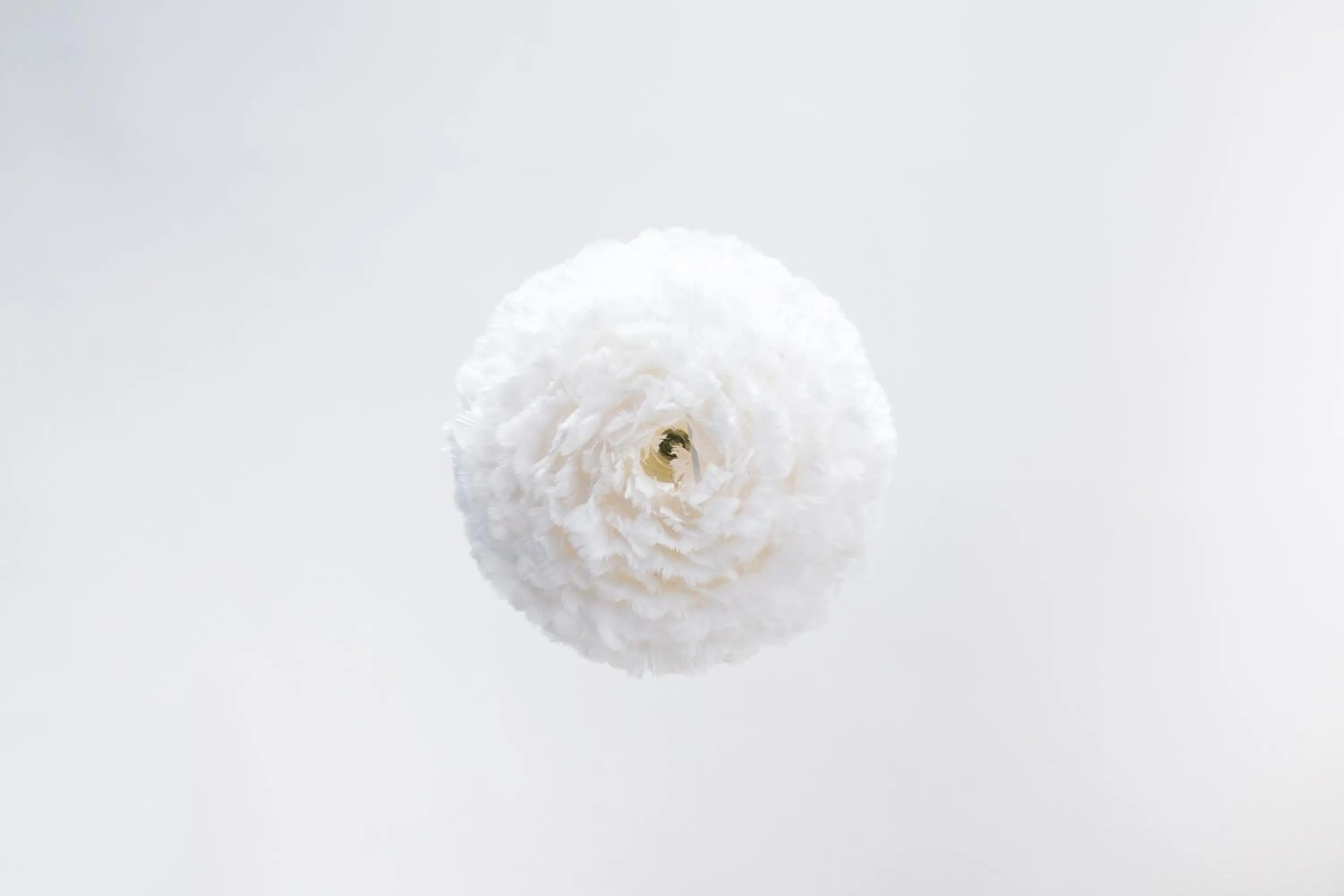 Property building in Villa 36 B&B