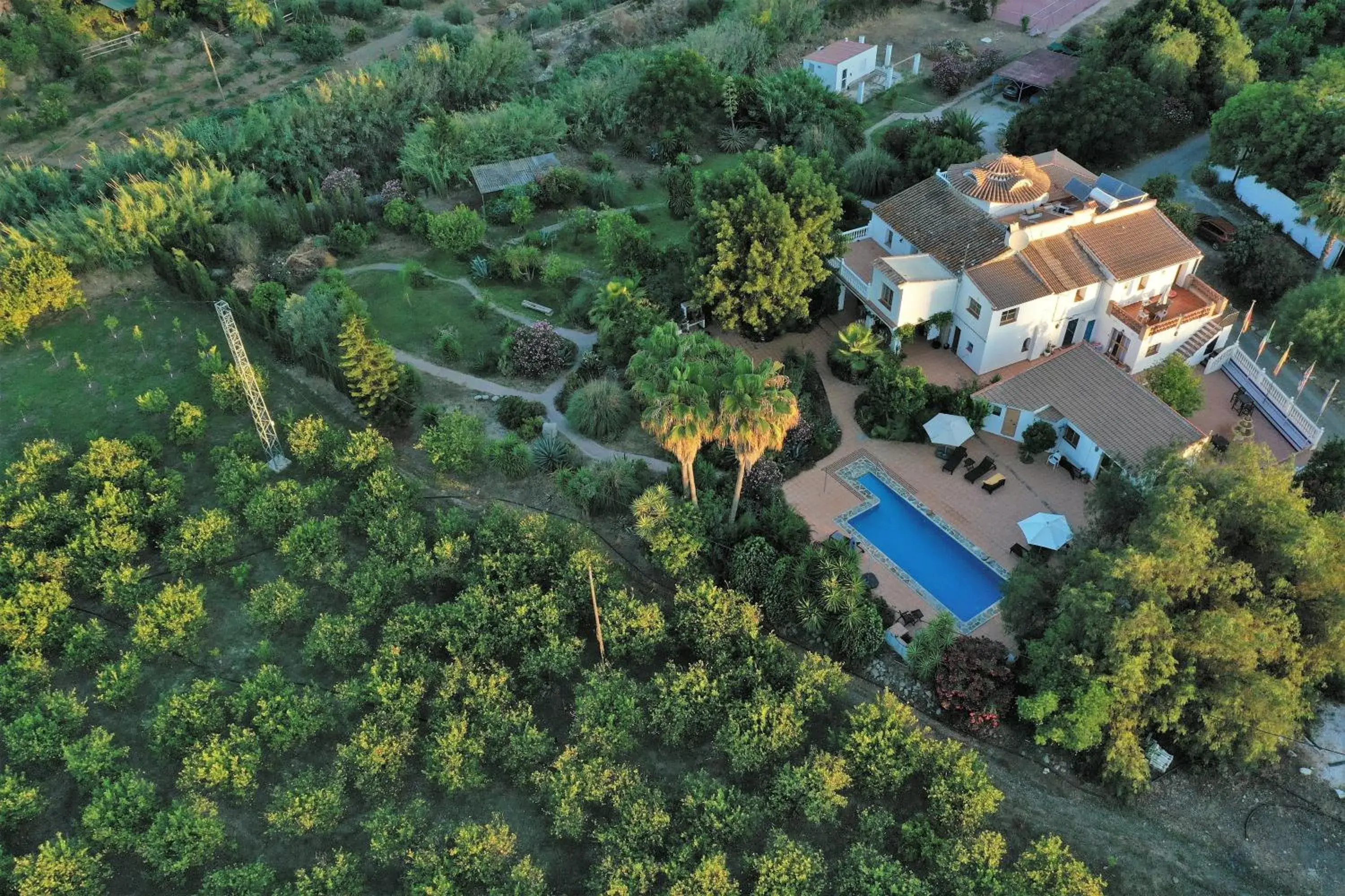 La Finca Blanca La Finca Blanca