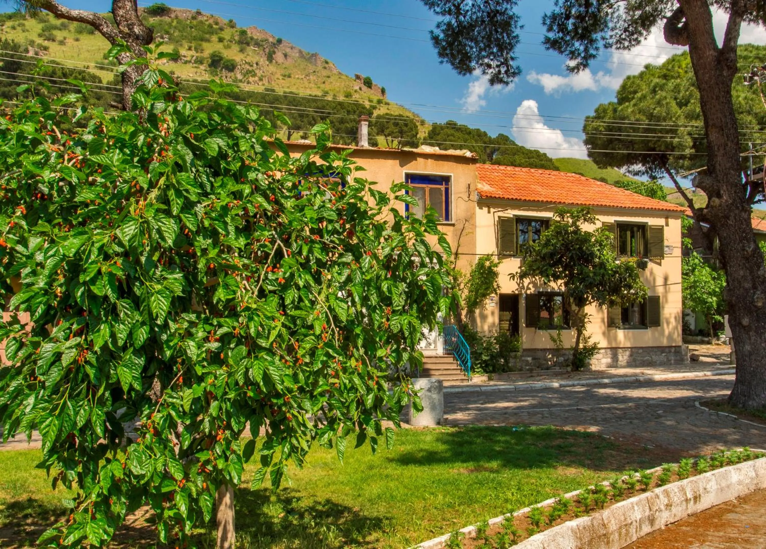 Property building in Elaia Hotel