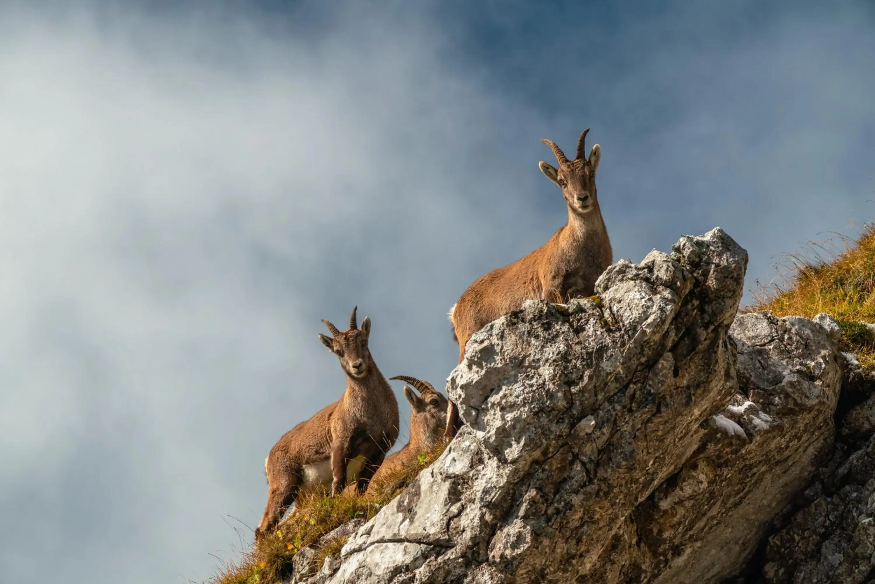 Property building in Hotel Pilatus-Kulm Property building in Hotel Pilatus-Kulm