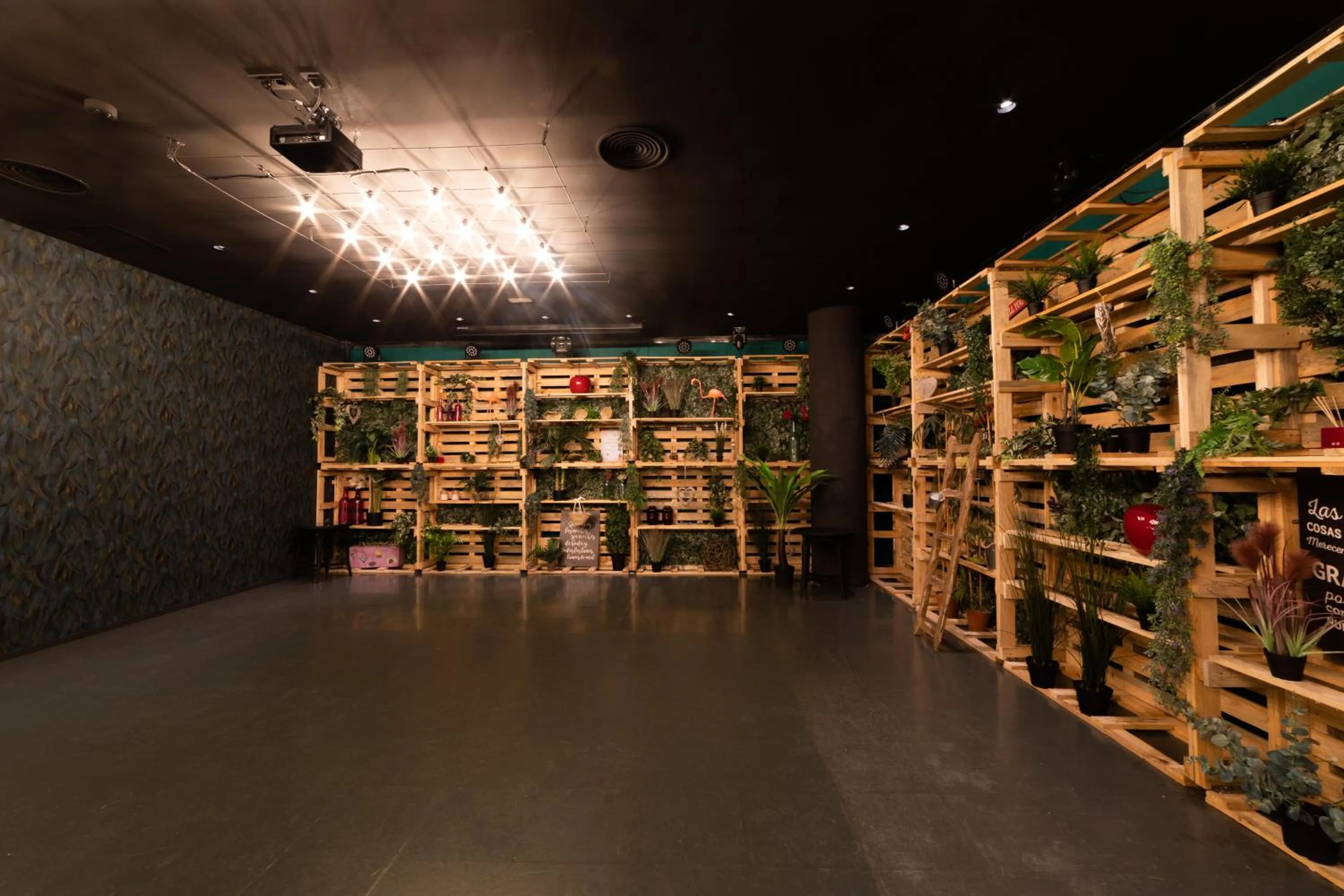 Nightclub / DJ in Palas Pineda