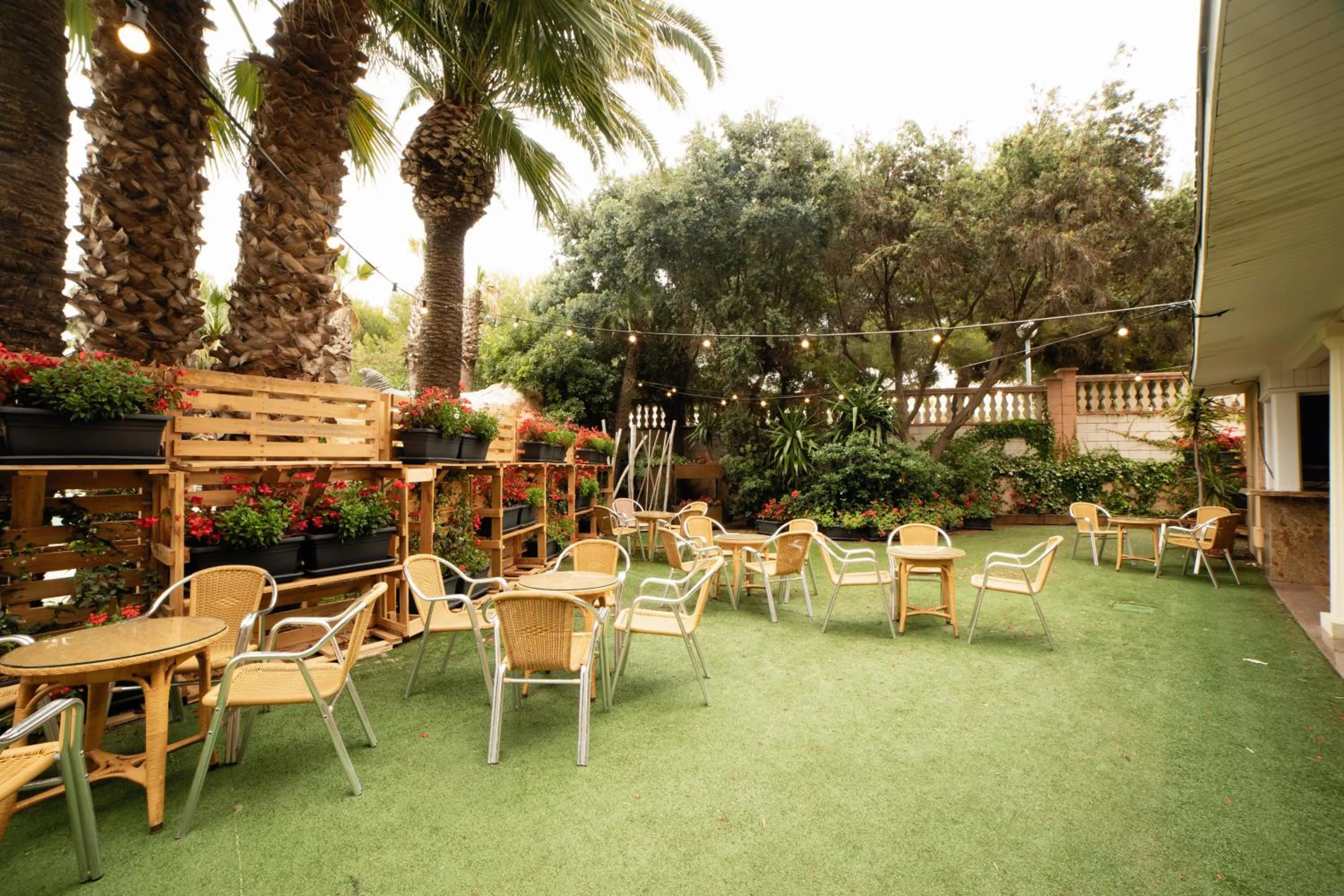 Patio in Palas Pineda