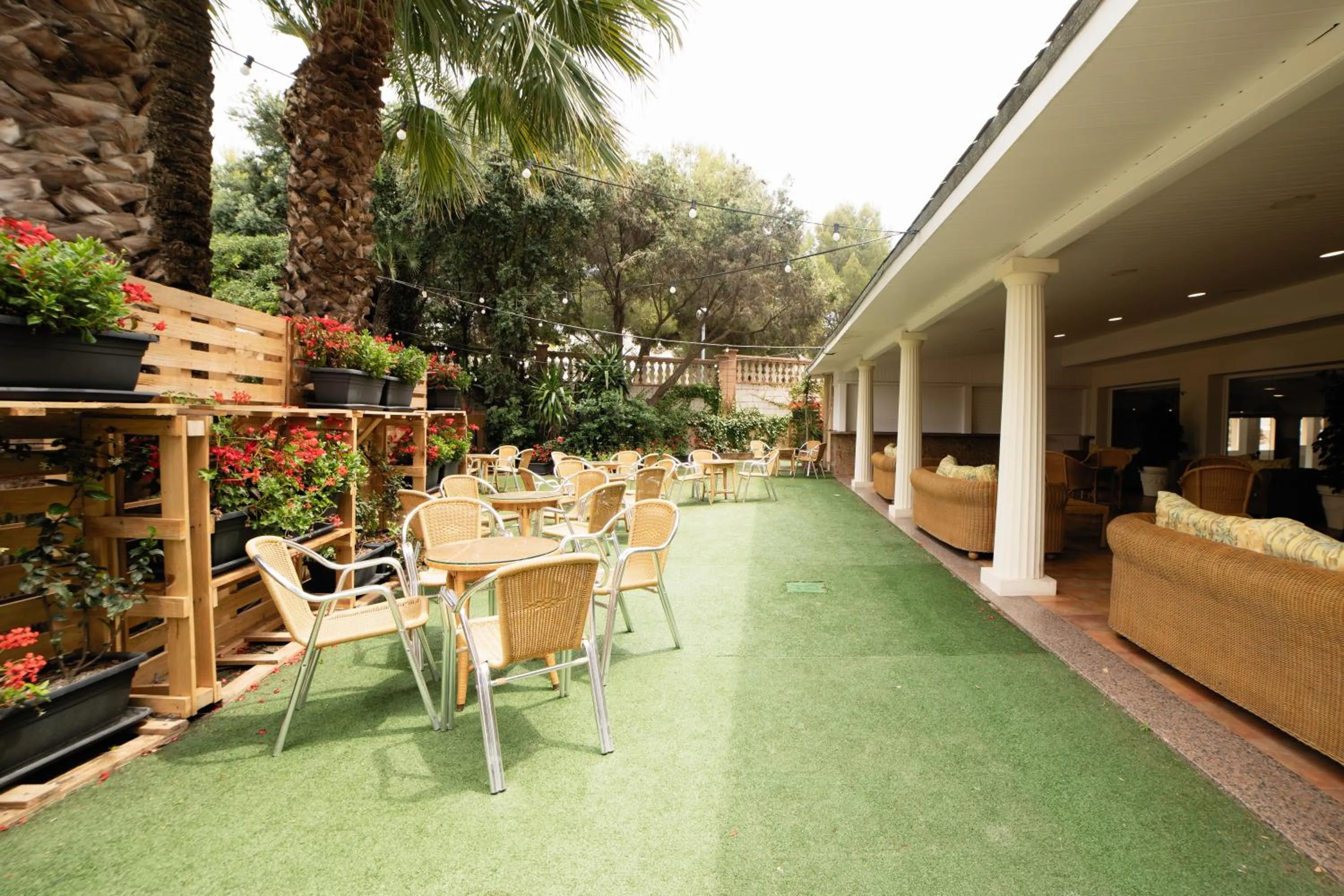 Patio in Palas Pineda