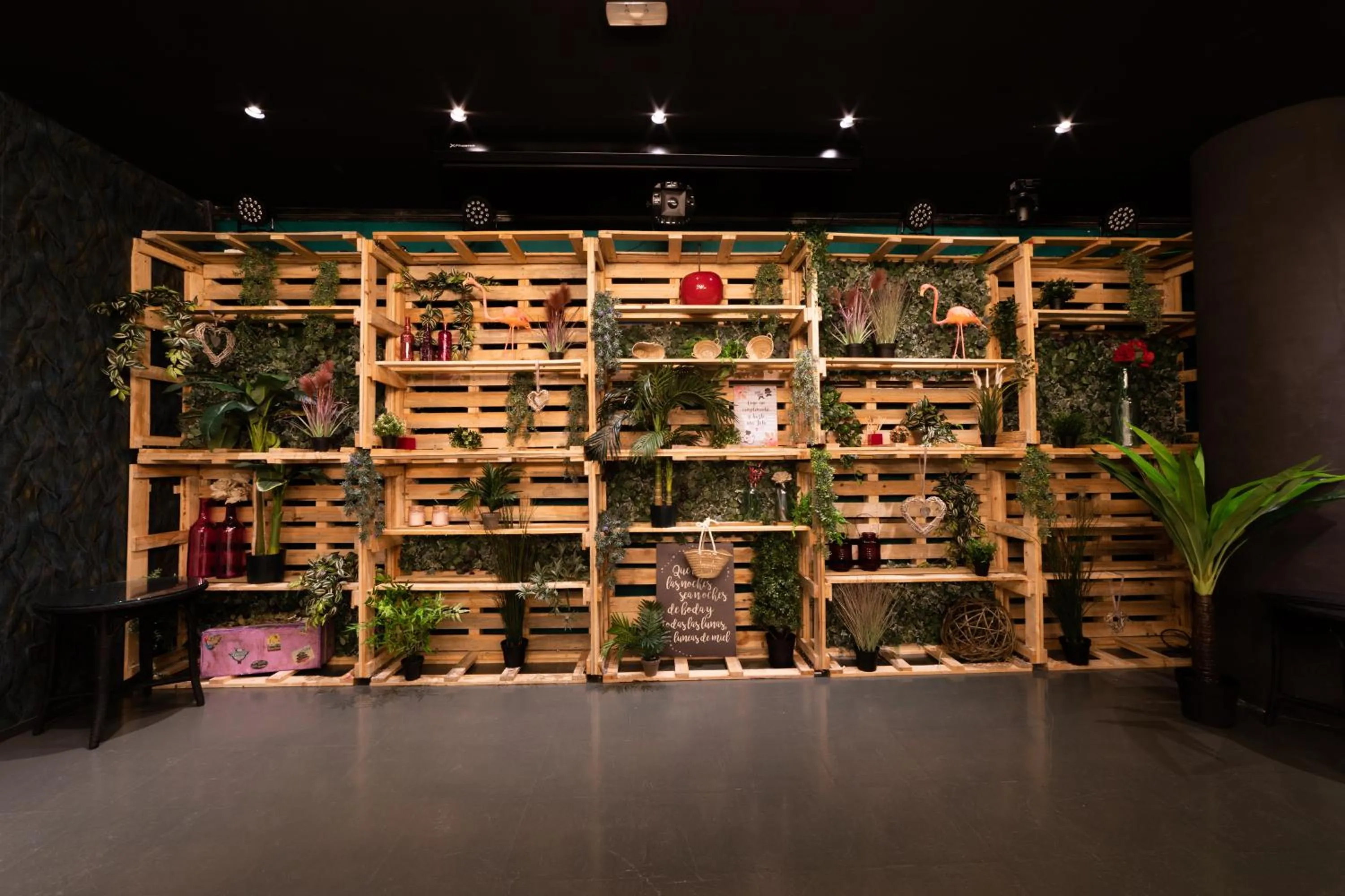 Nightclub / DJ in Palas Pineda