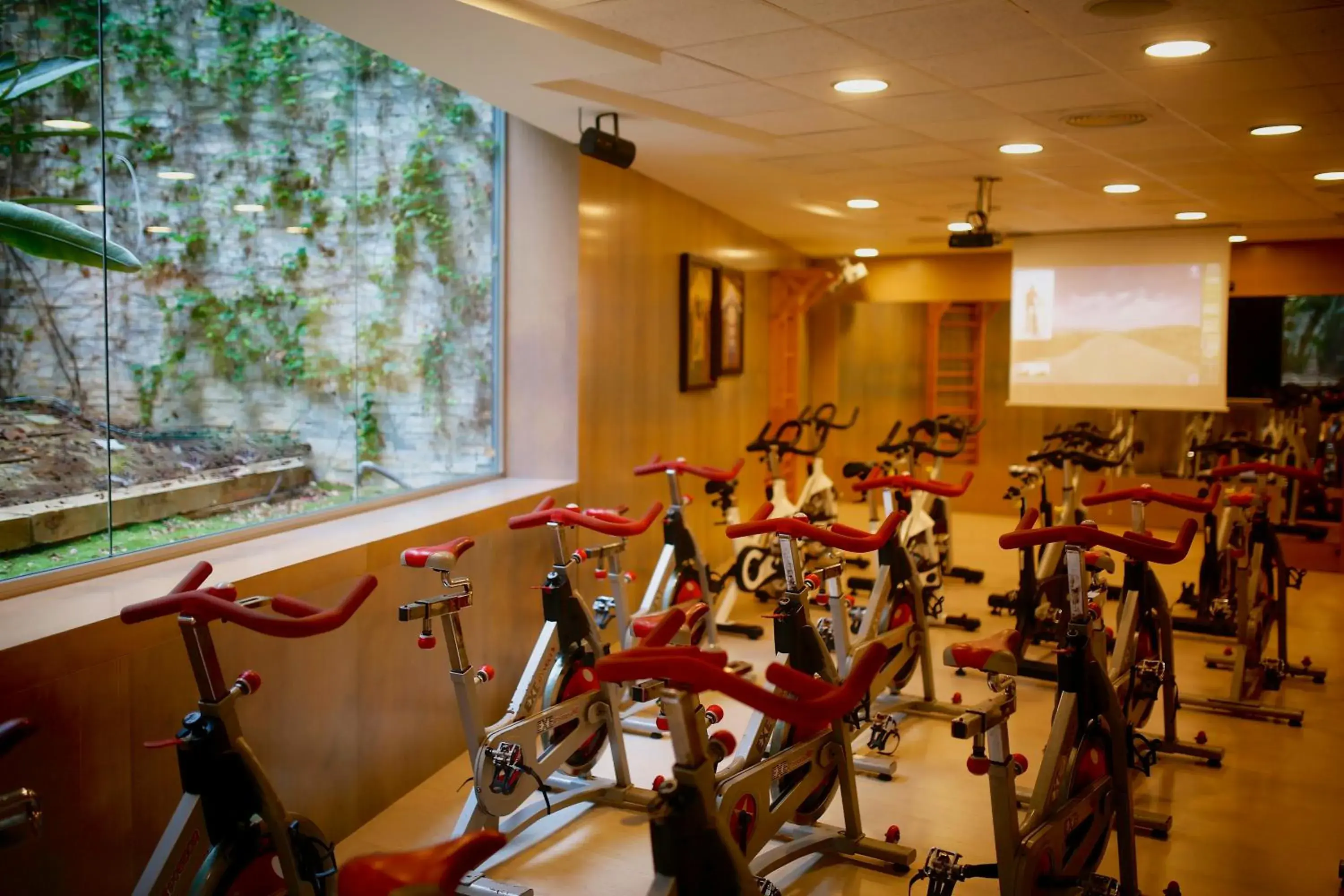 Fitness centre/facilities in Gran Palas Hotel - Spa incluido Fitness centre/facilities in Gran Palas Hotel - Spa incluido