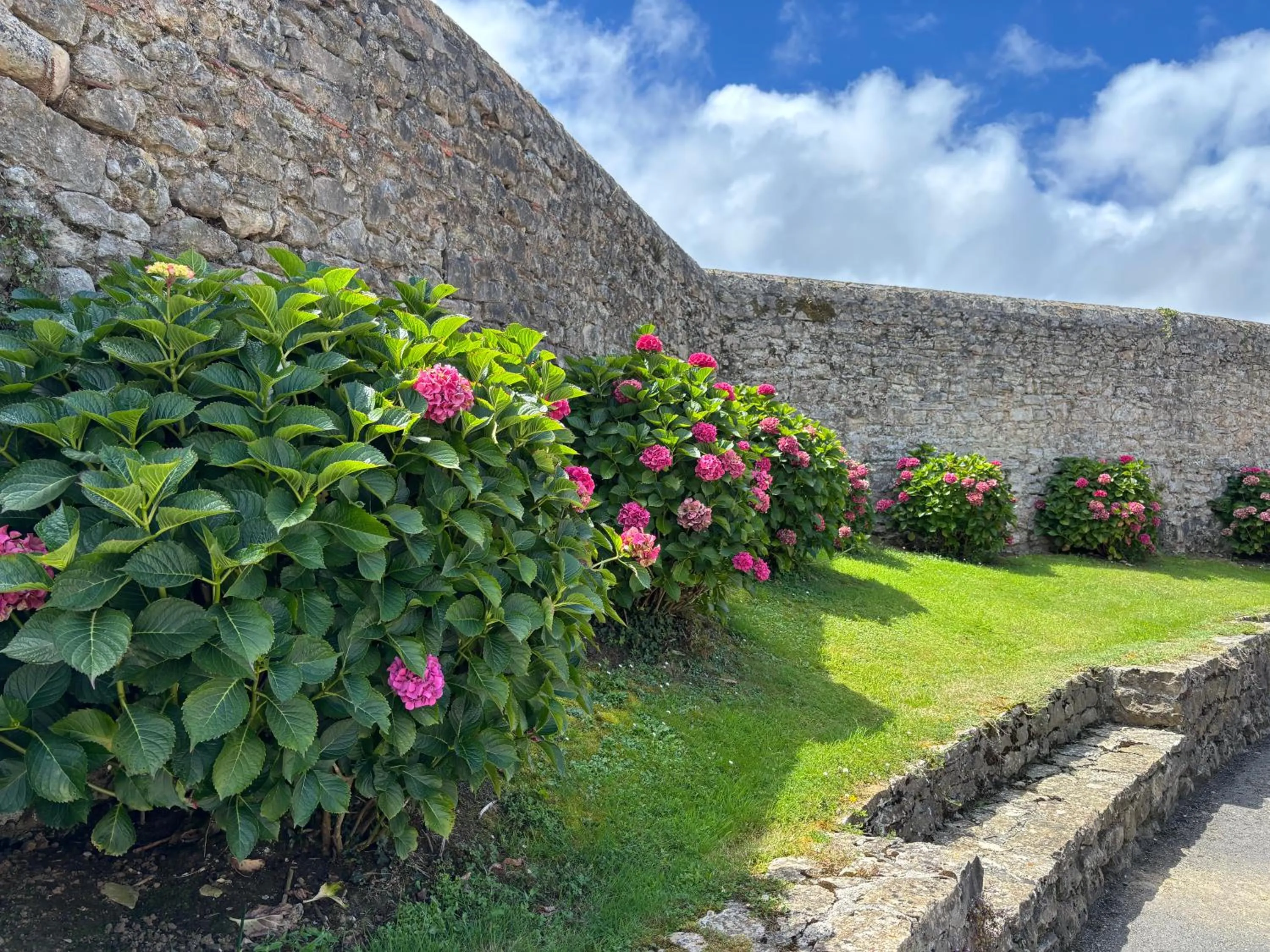 Garden view in Hotel Casona Los Caballeros