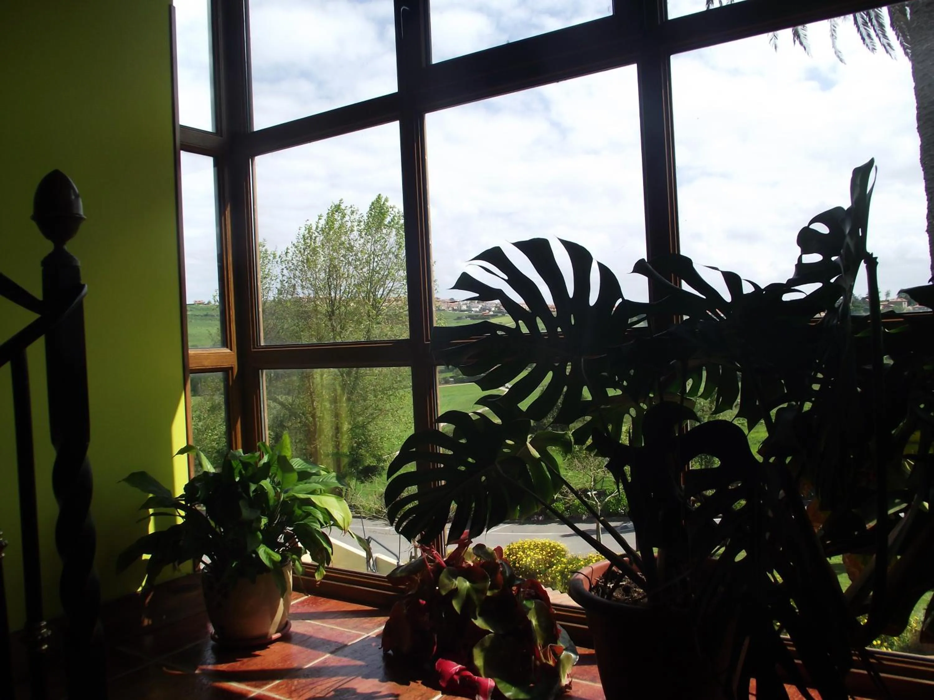 Decorative detail in Hotel Marfrei