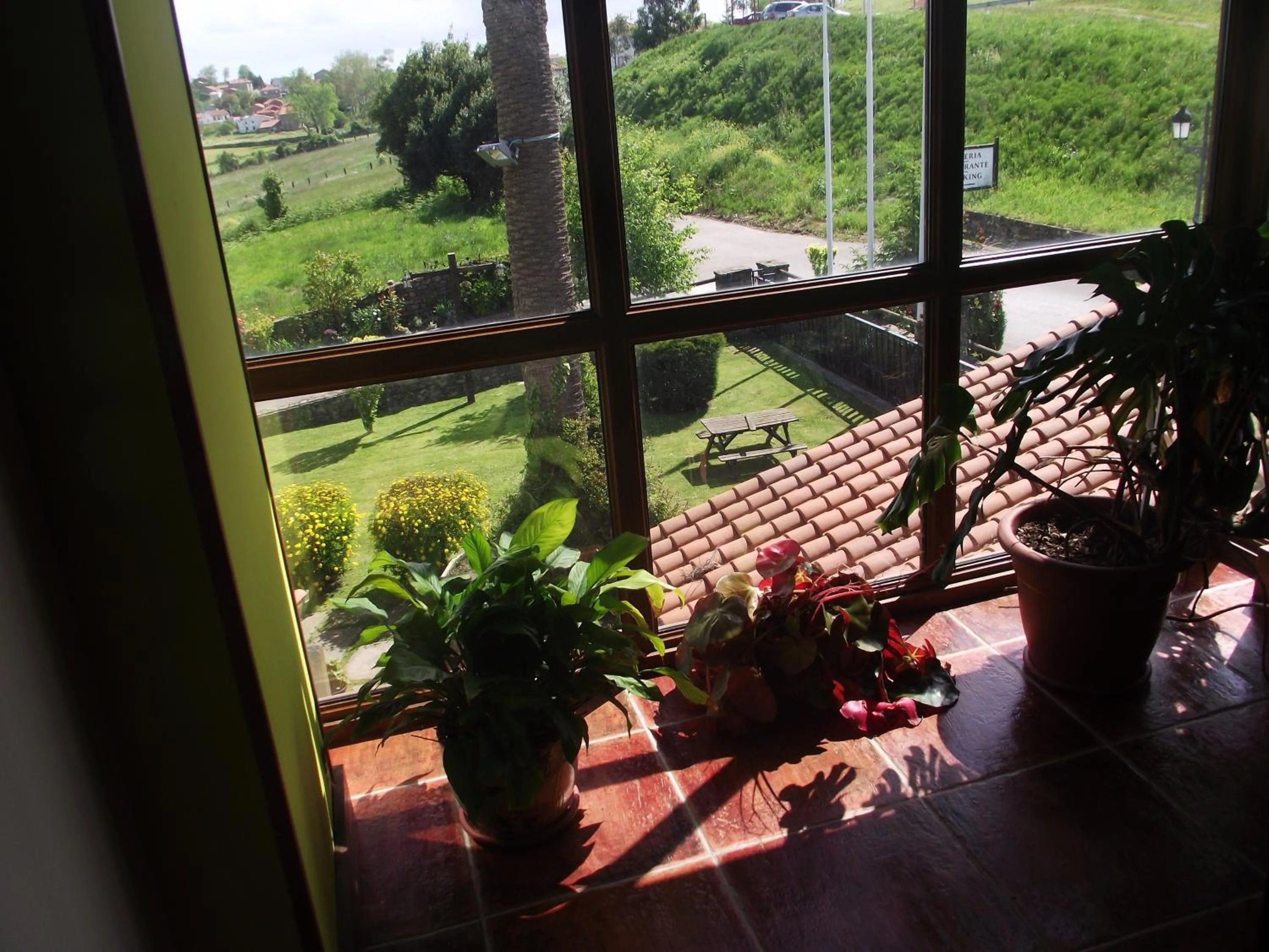 Garden view in Hotel Marfrei