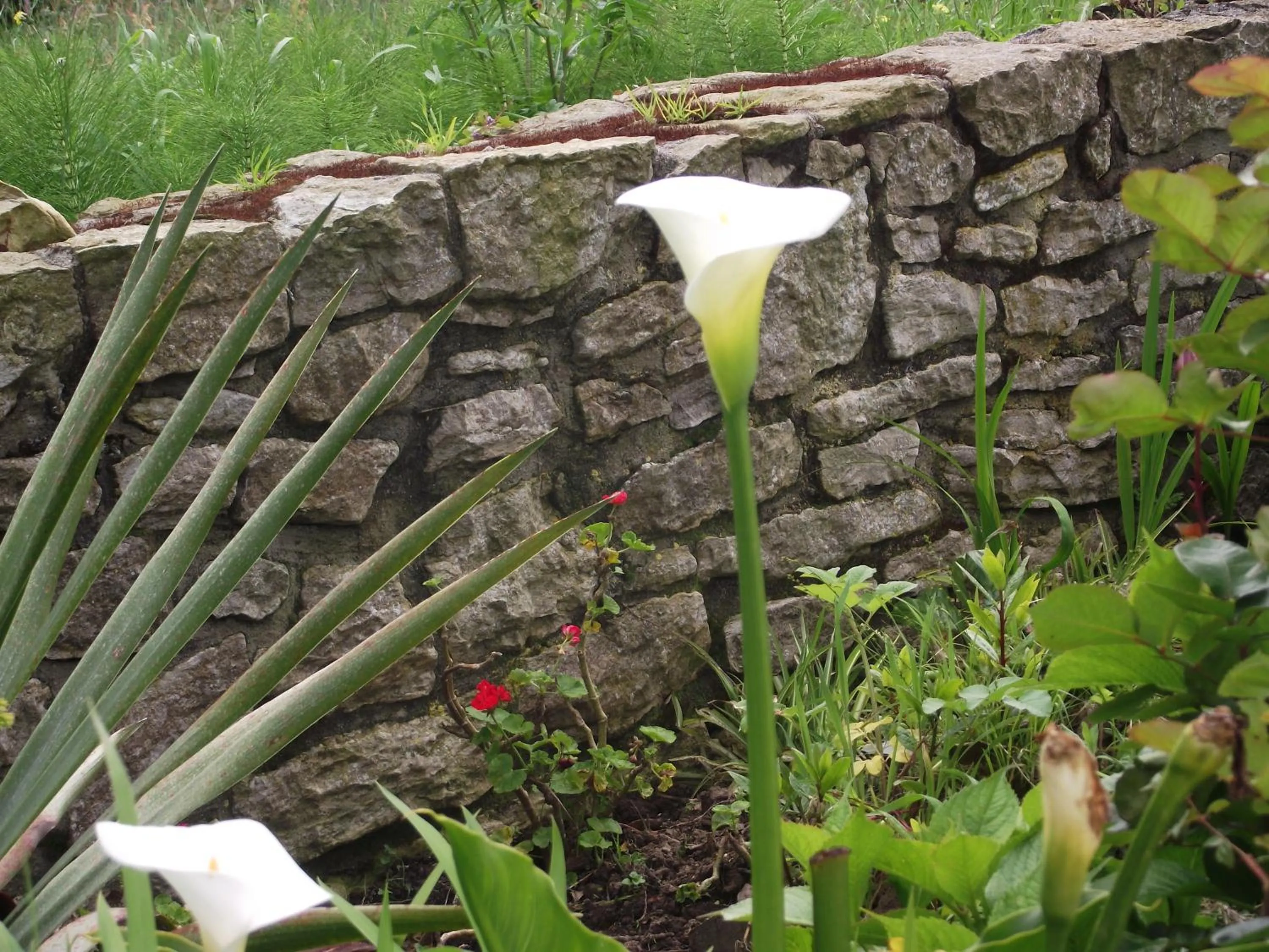 Natural landscape in Hotel Marfrei