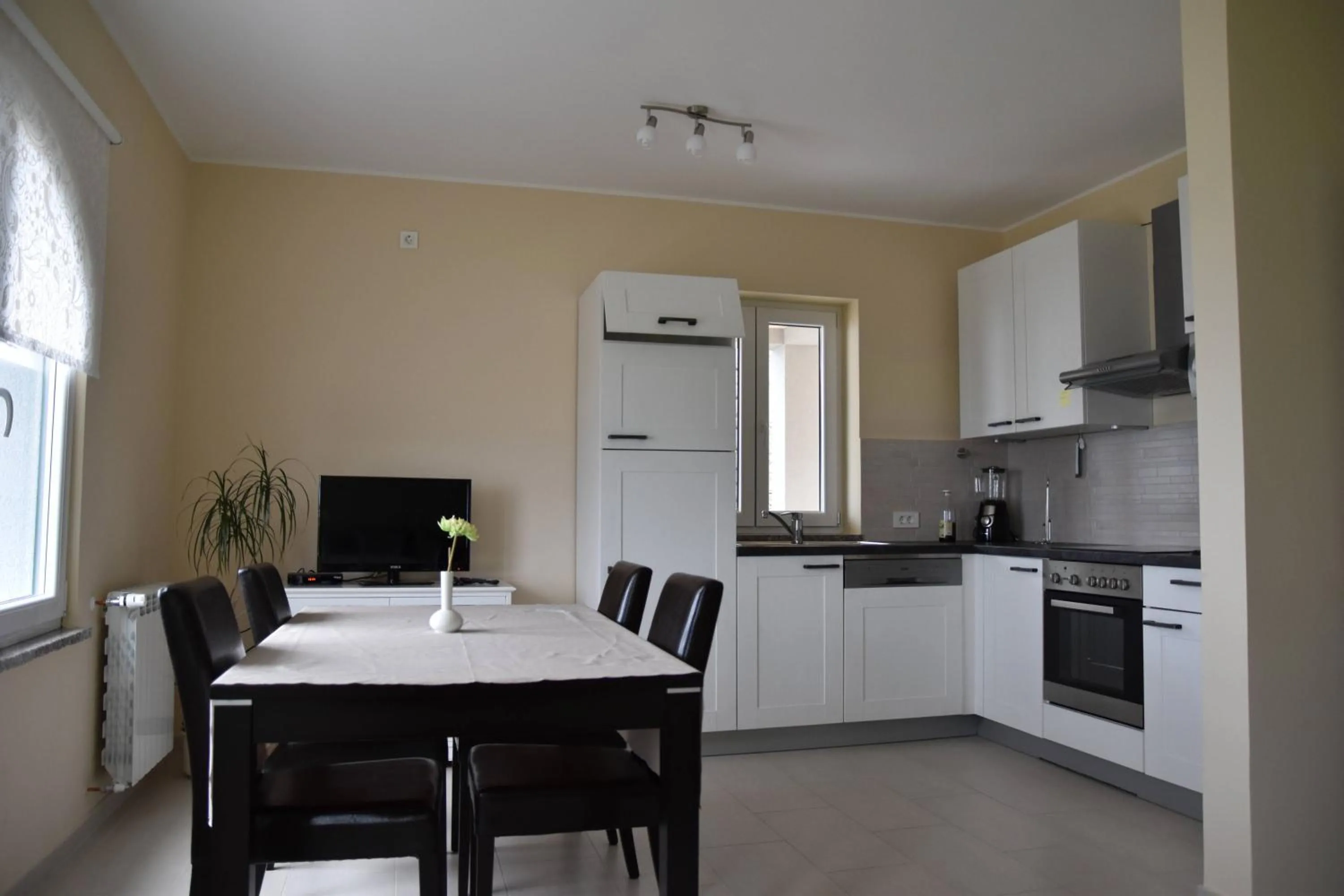 Kitchen or kitchenette in Apartment Antunovic