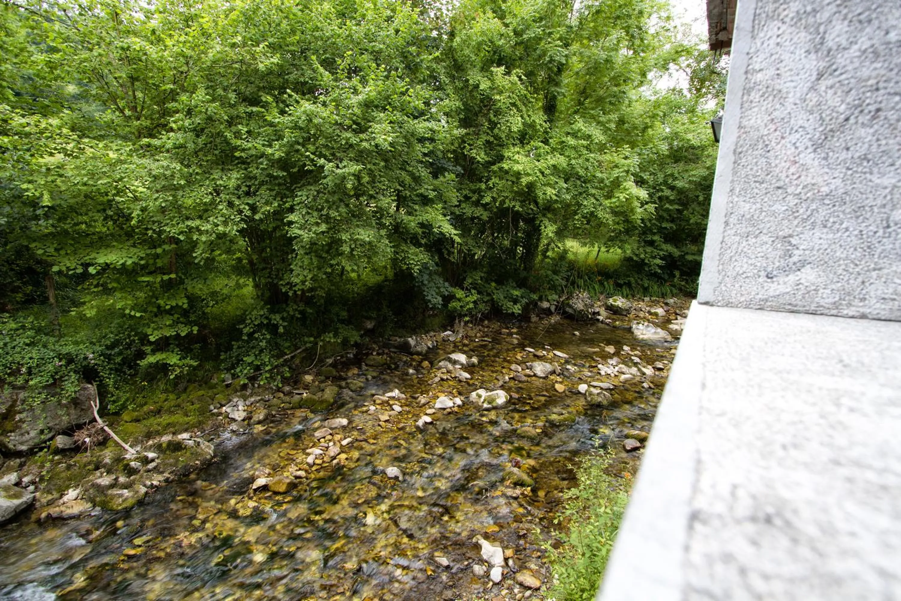 View (from property/room) in Hotel Rural El Molino