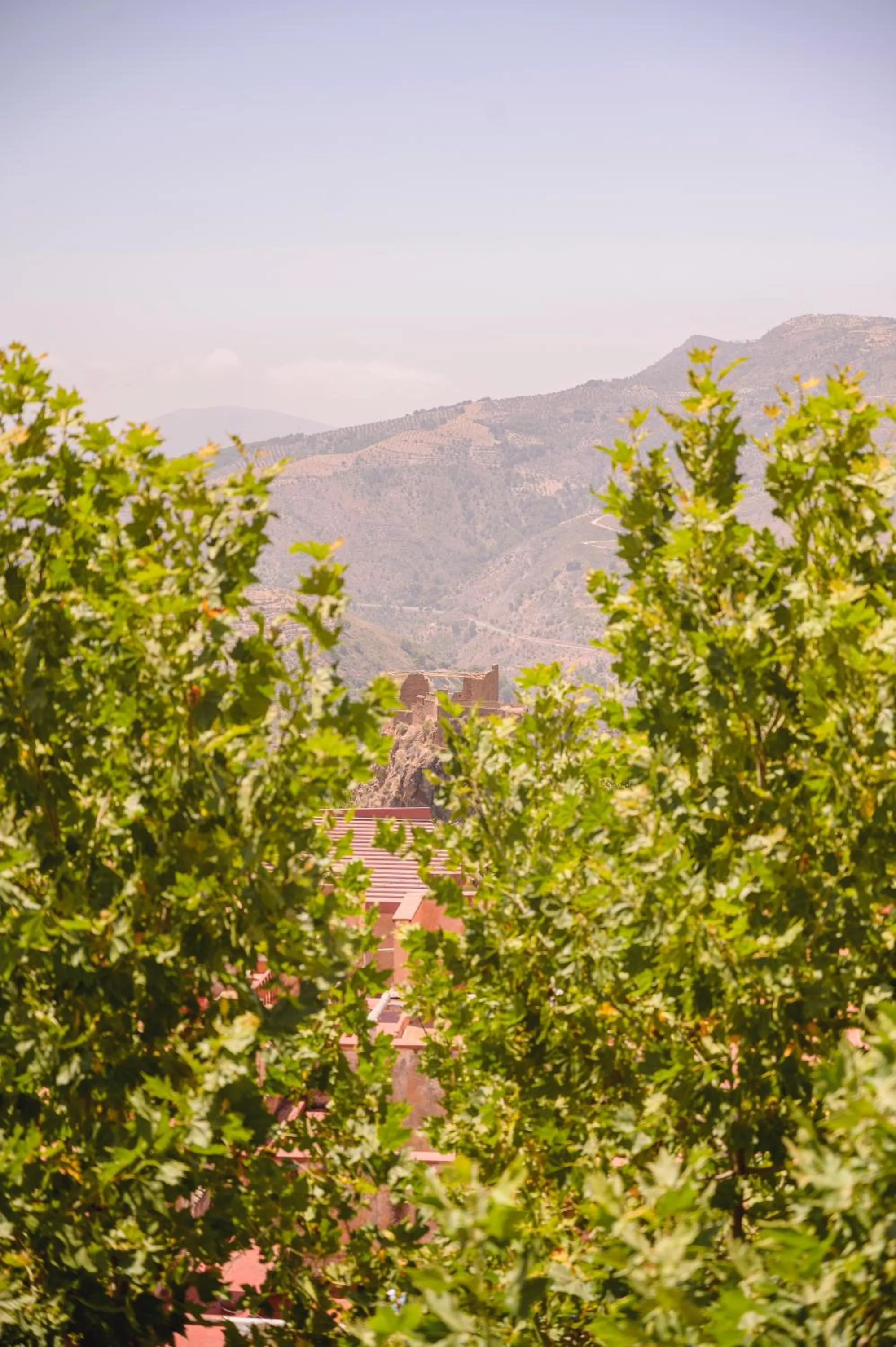 Property building in Hotel Paraíso