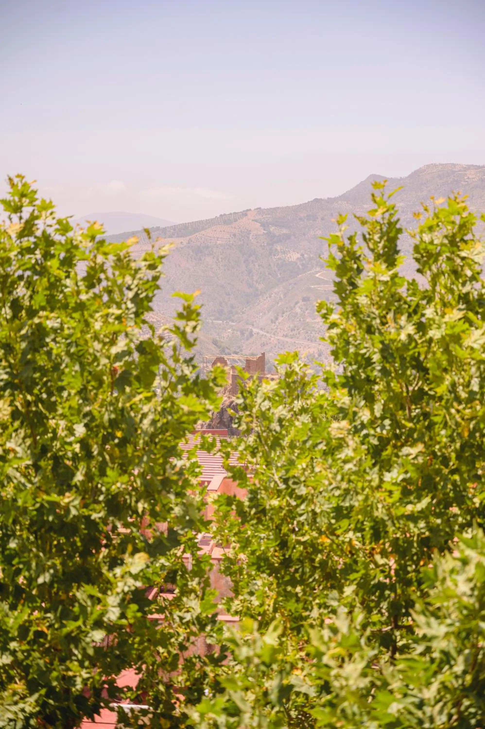 Mountain view in Hotel Paraíso