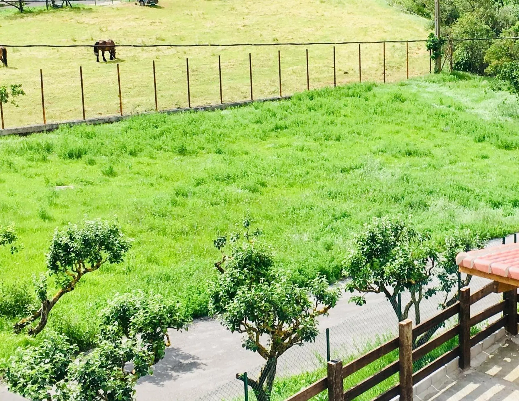 Natural landscape in Hotel Valdecoro
