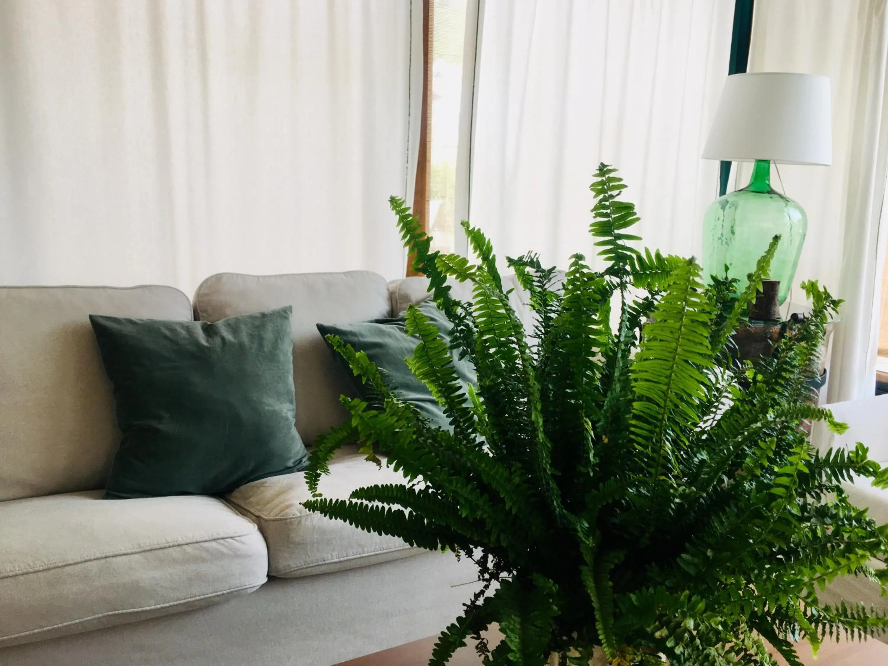 Living room in Hotel Valdecoro