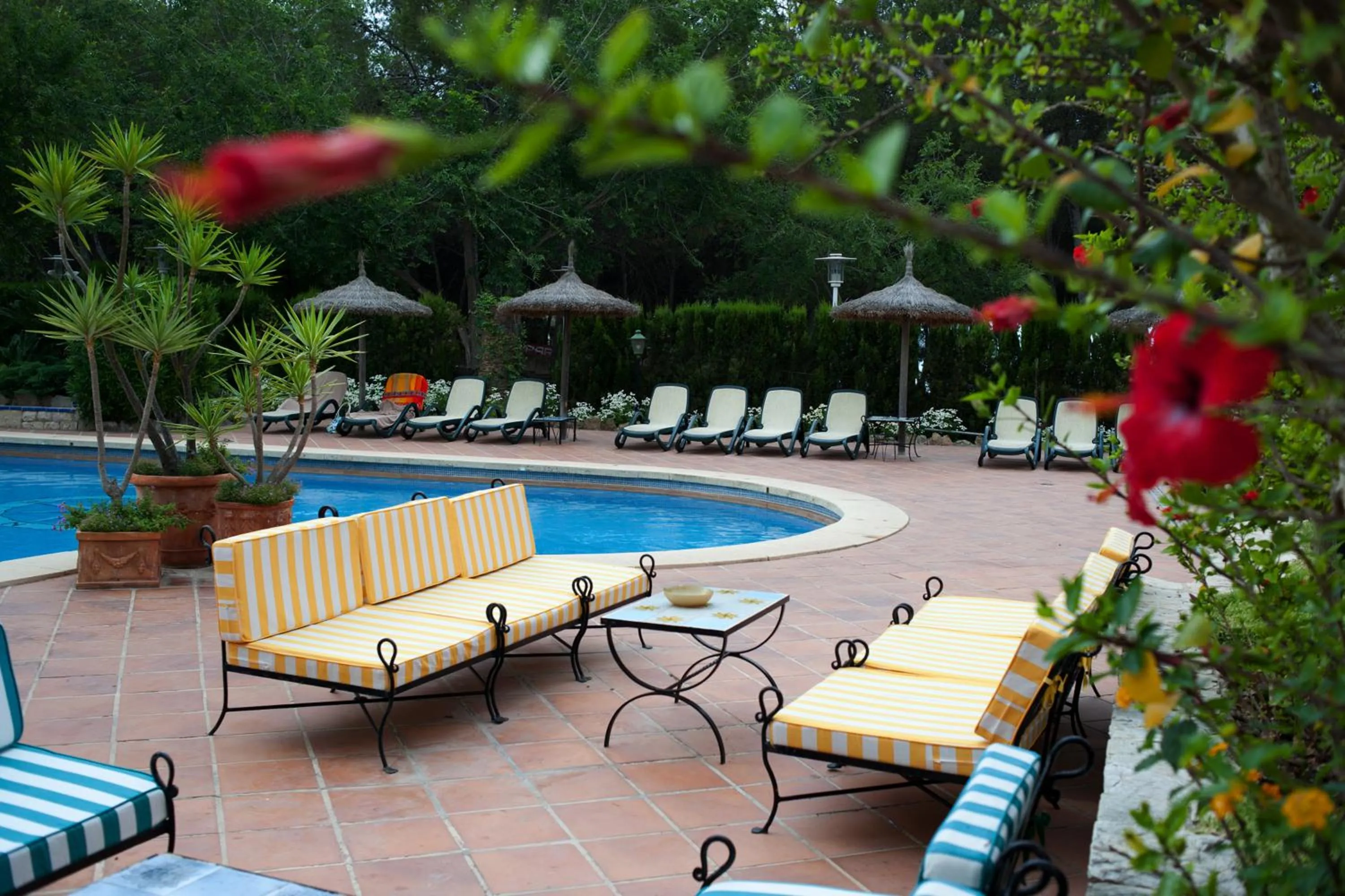 Balcony/Terrace in Hotel Bahia