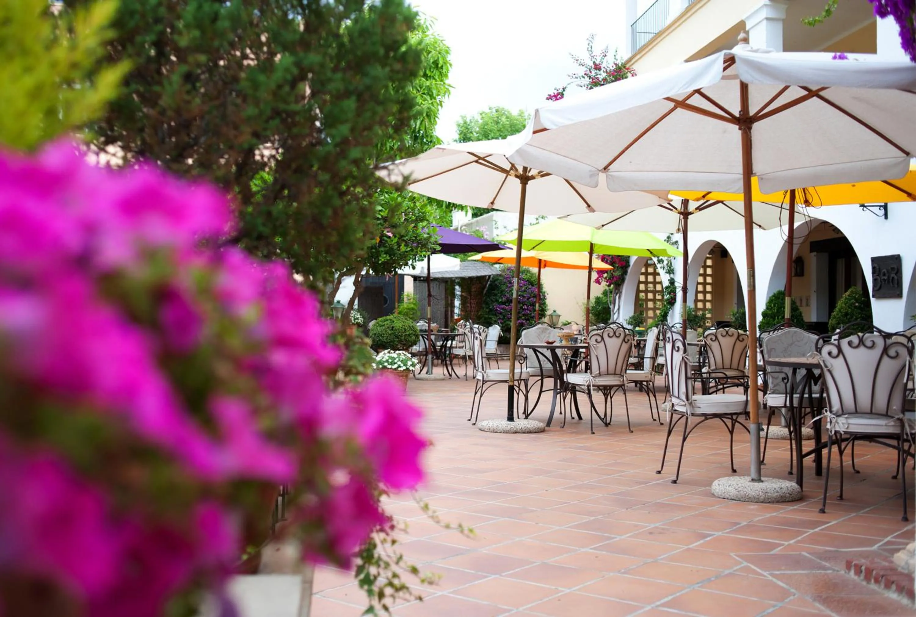 Balcony/Terrace in Hotel Bahia