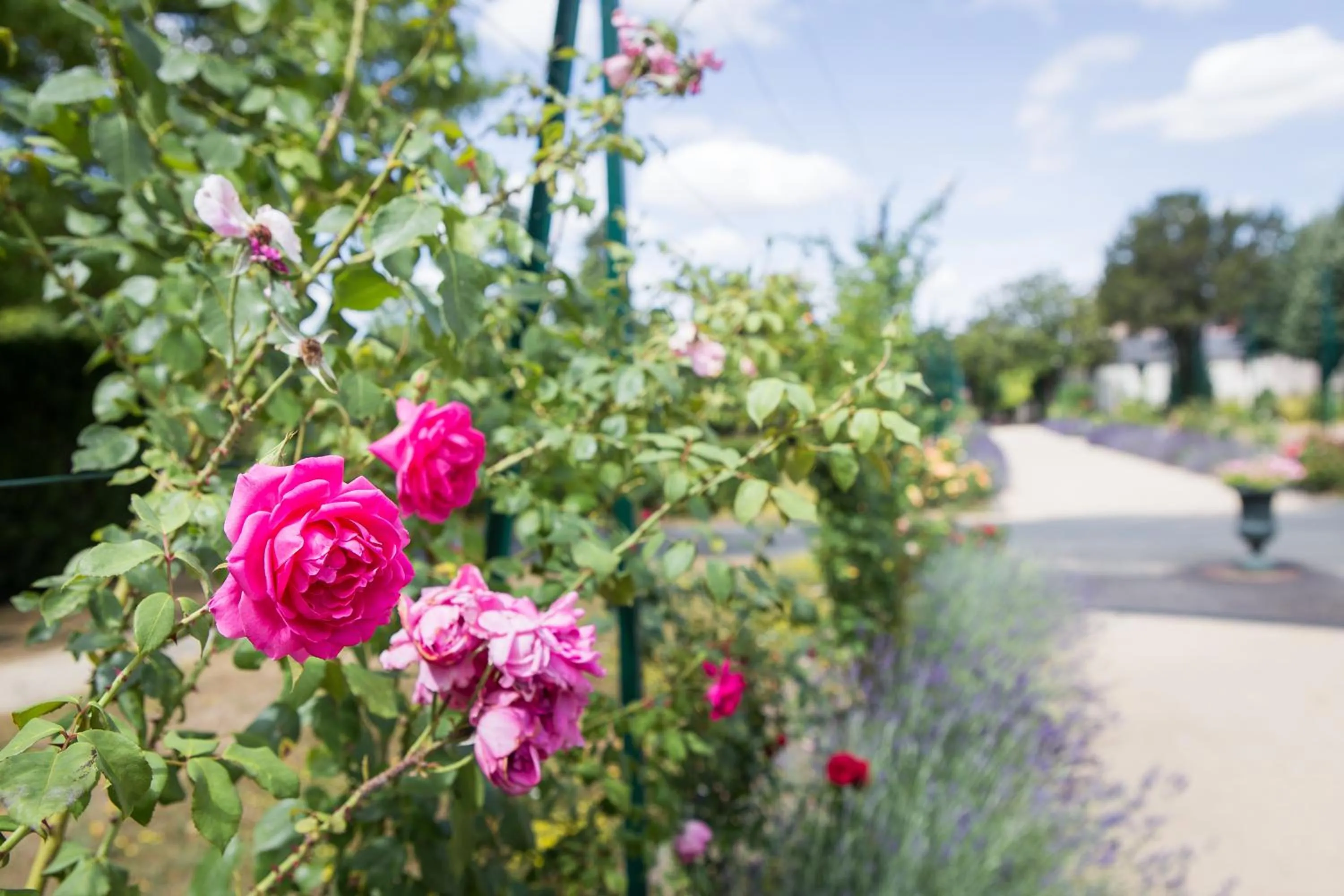 Property building in Hostellerie Bon Pasteur