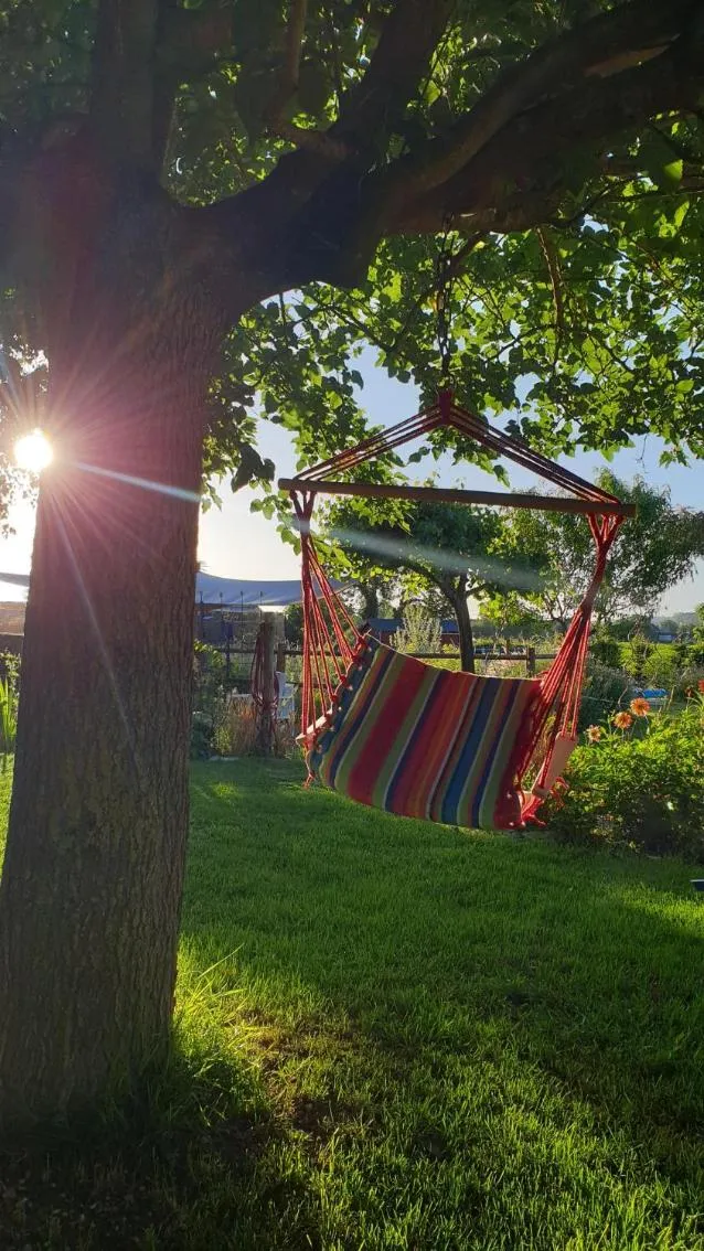 Garden in Saumur Loire Chambres et Gîte