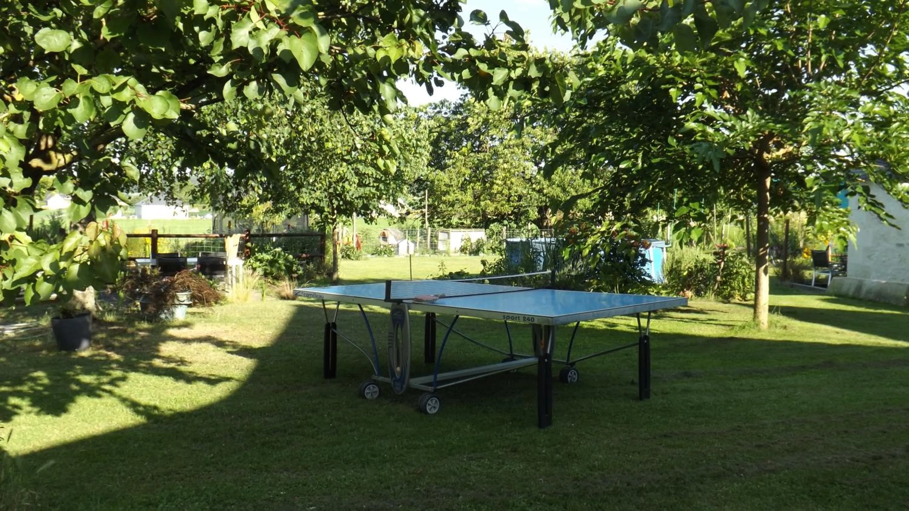 Garden in Saumur Loire Chambres et Gîte