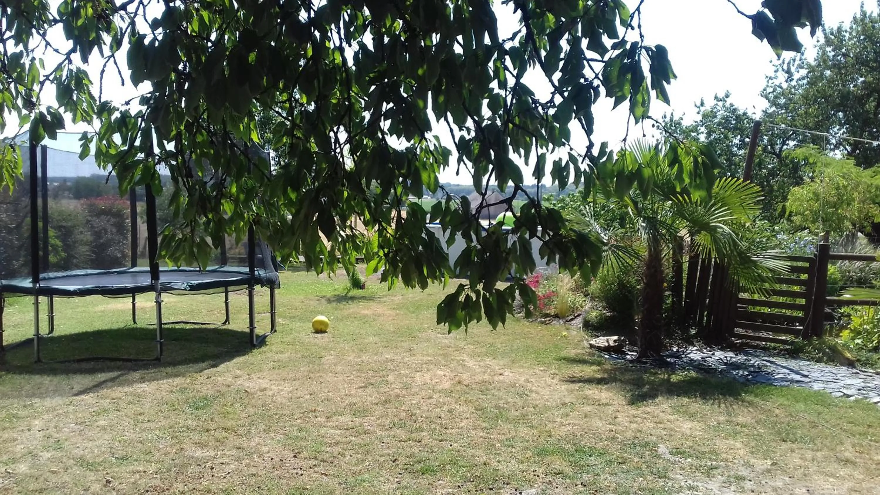 Garden in Saumur Loire Chambres et Gîte
