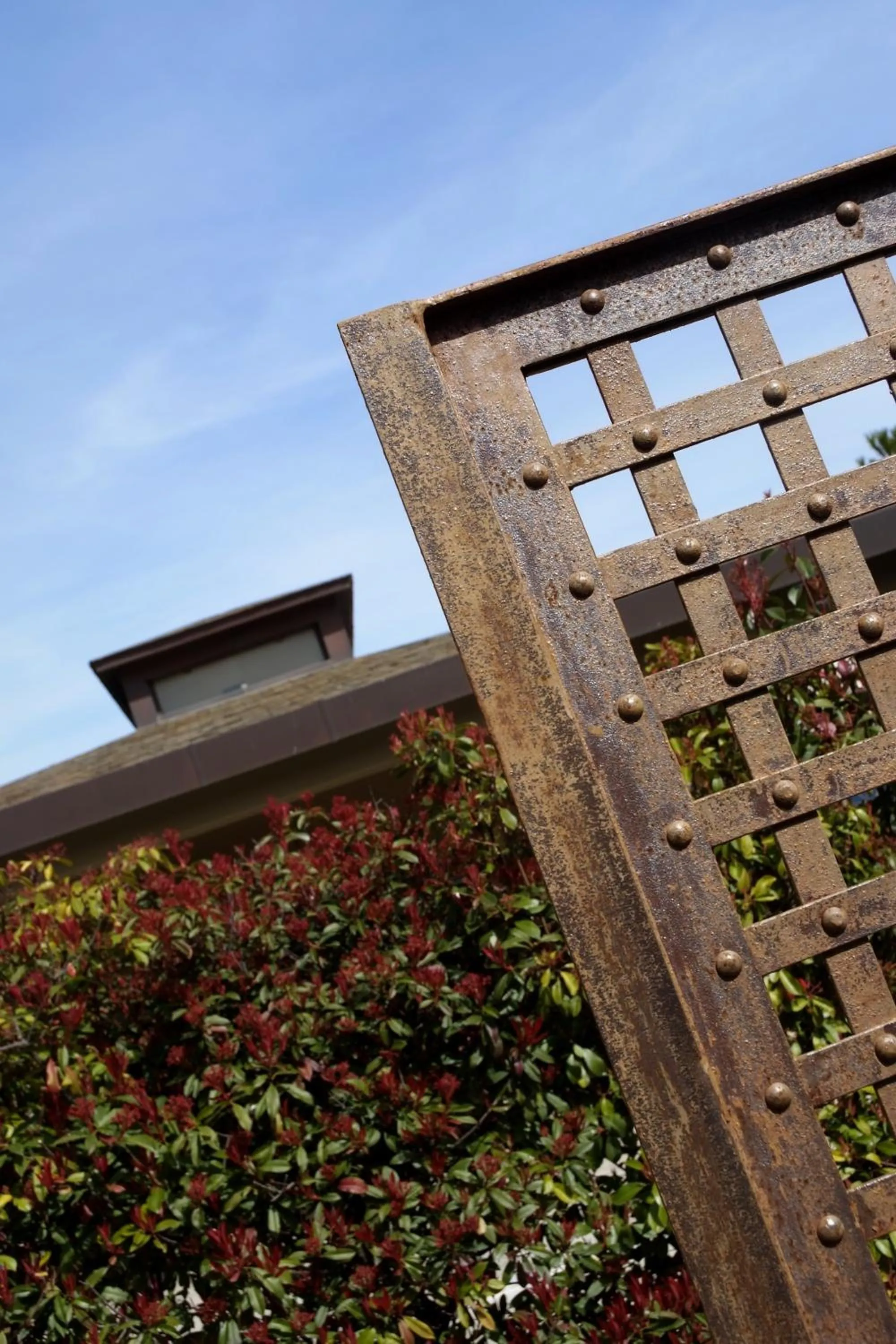 Garden in Hotel Alhama