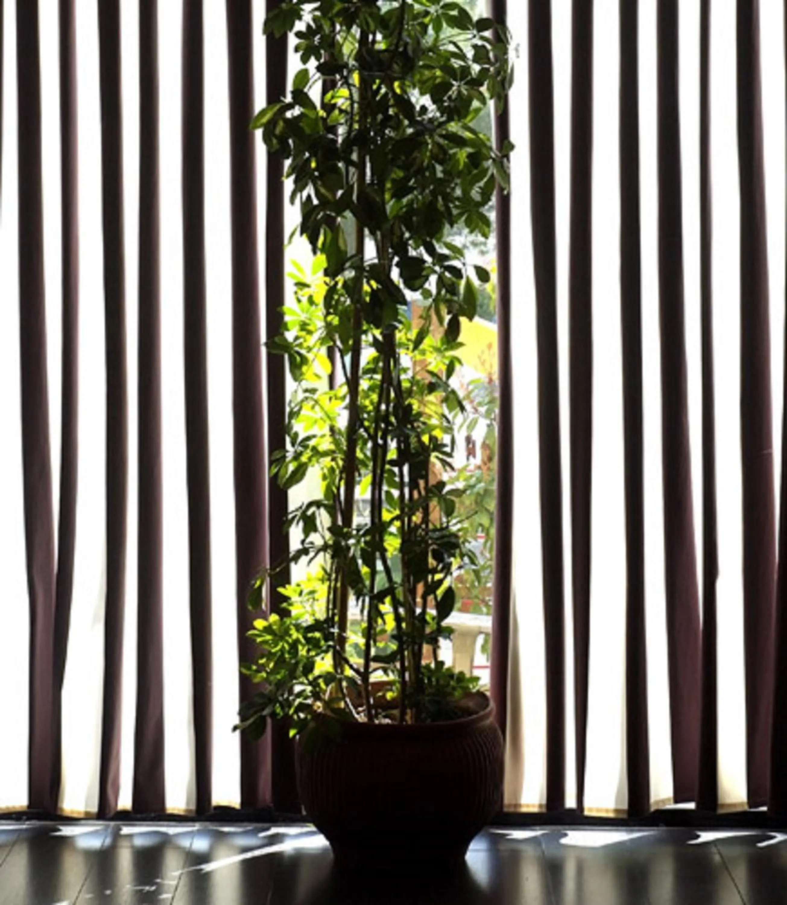 Business facilities in Hotel Alhama