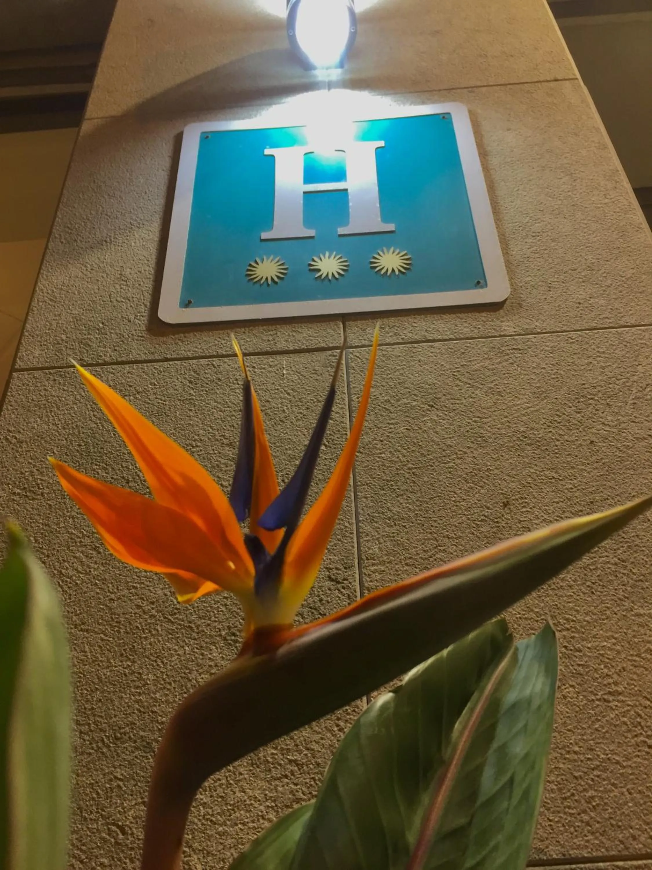 Decorative detail in Hotel Stella Maris