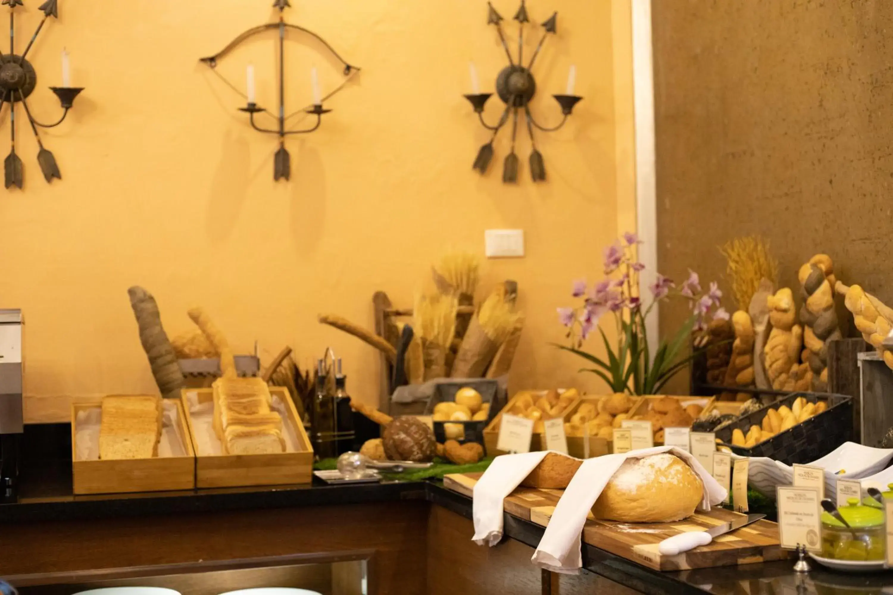 Hodelpa Nicolás de Ovando Hodelpa Nicolás de Ovando