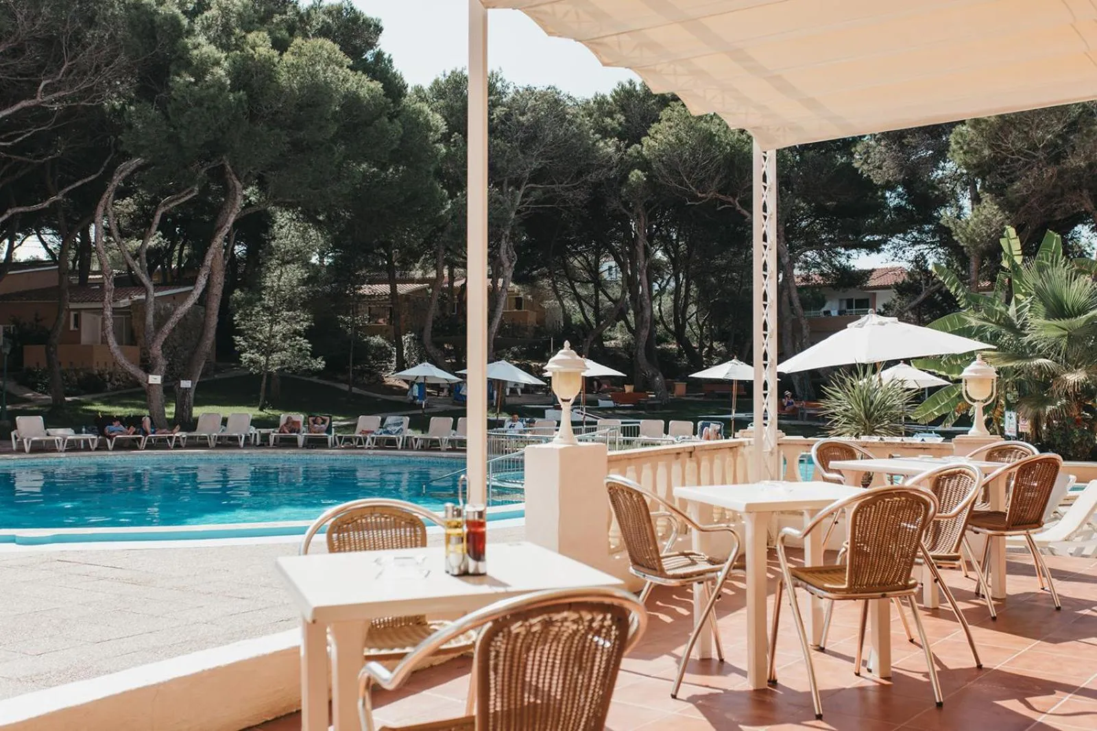 Garden view in Hotel Xaloc Playa