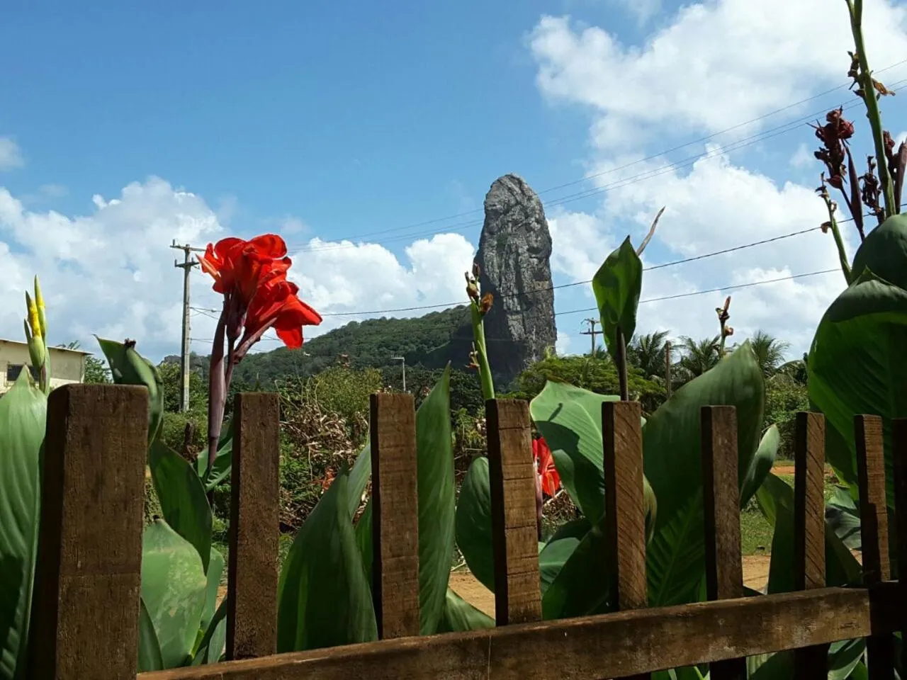 Spring in Pousada Morro do Pico